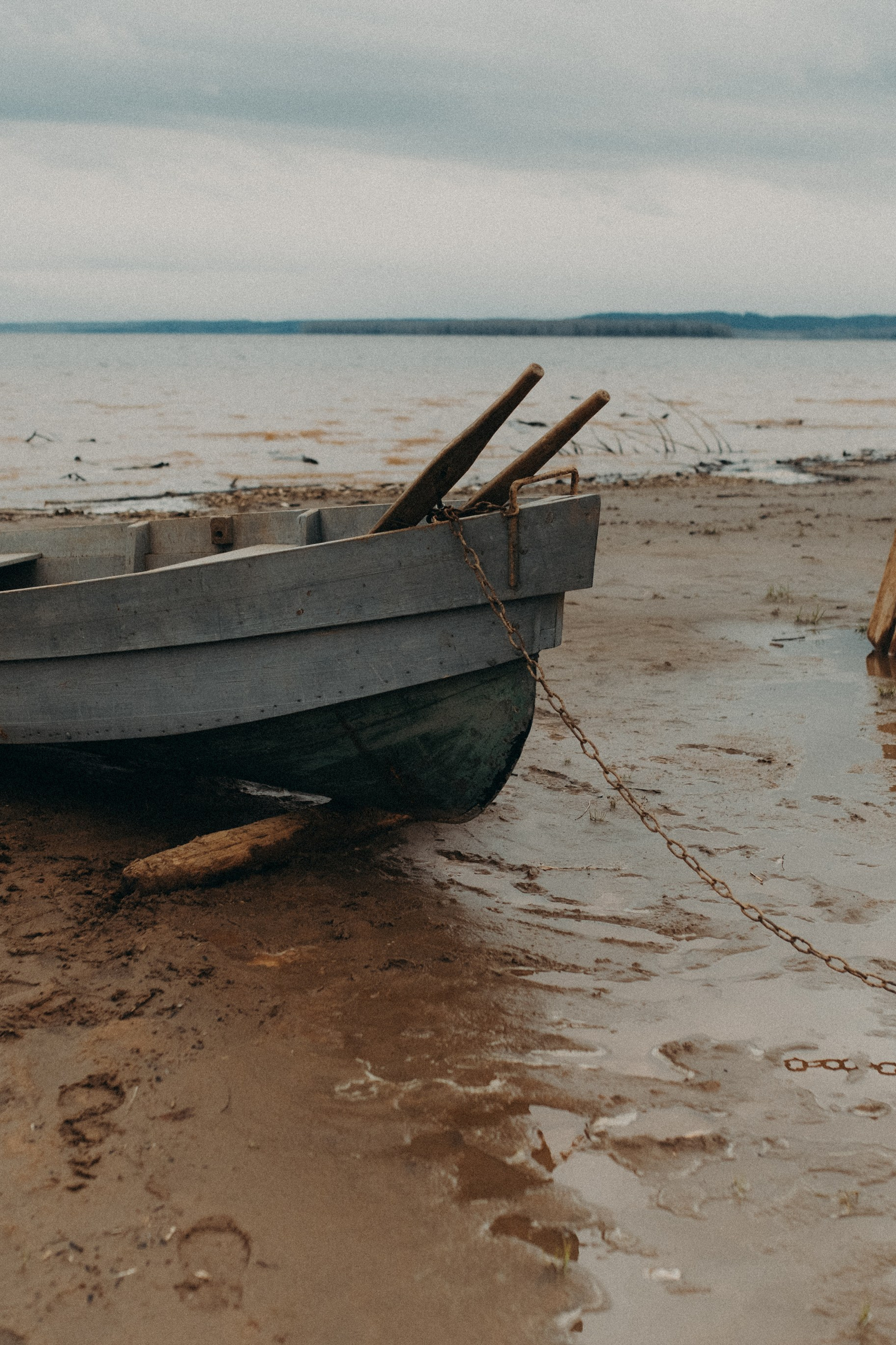 Свадьба Егора и Даши. Главная