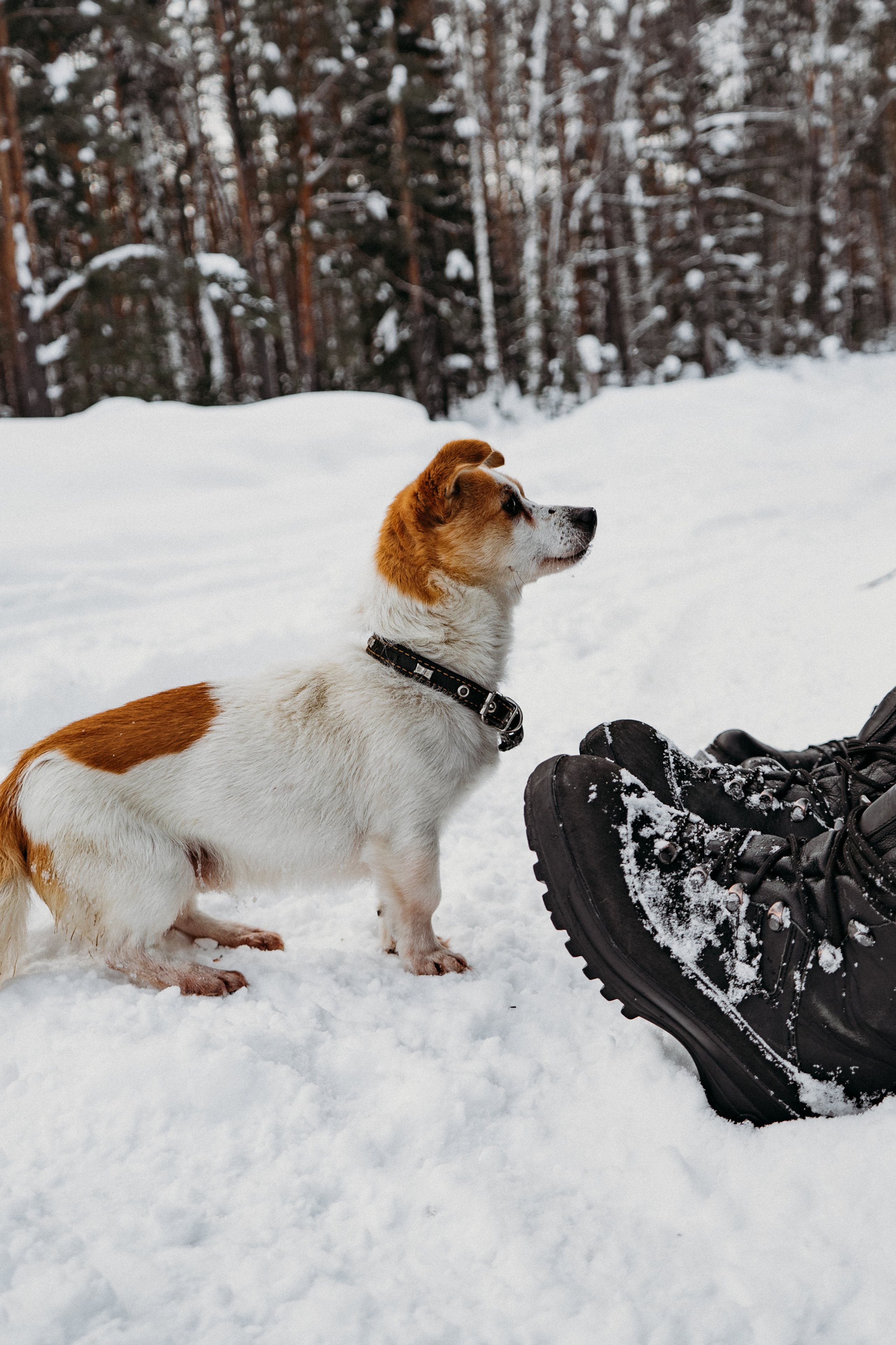 Истории. Искренний фотограф