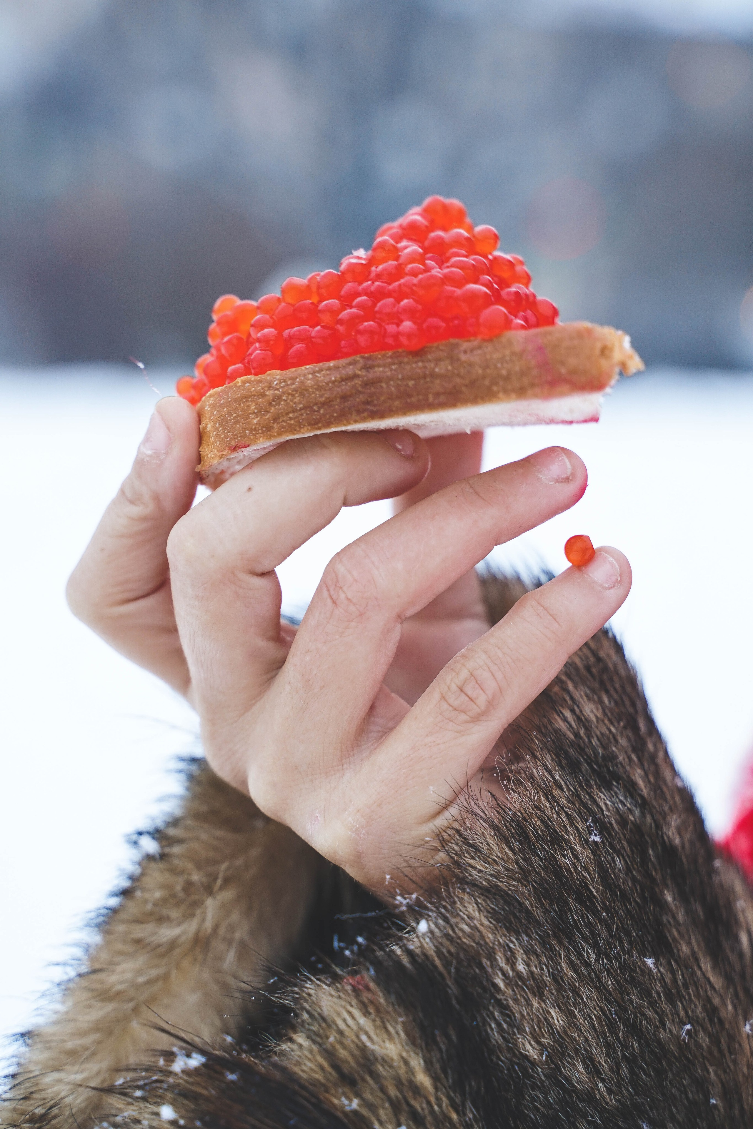 С А Н Д Р А