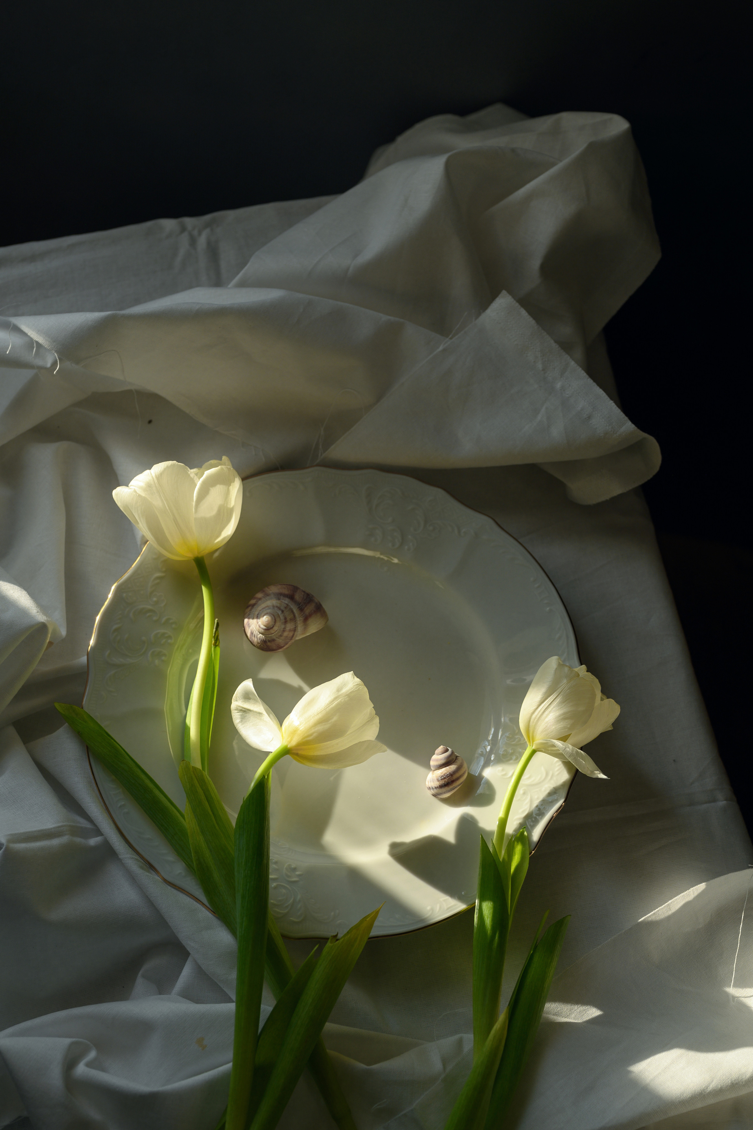 Топ 5 фото за апрель. Фотограф Елена Хазина, Рязань