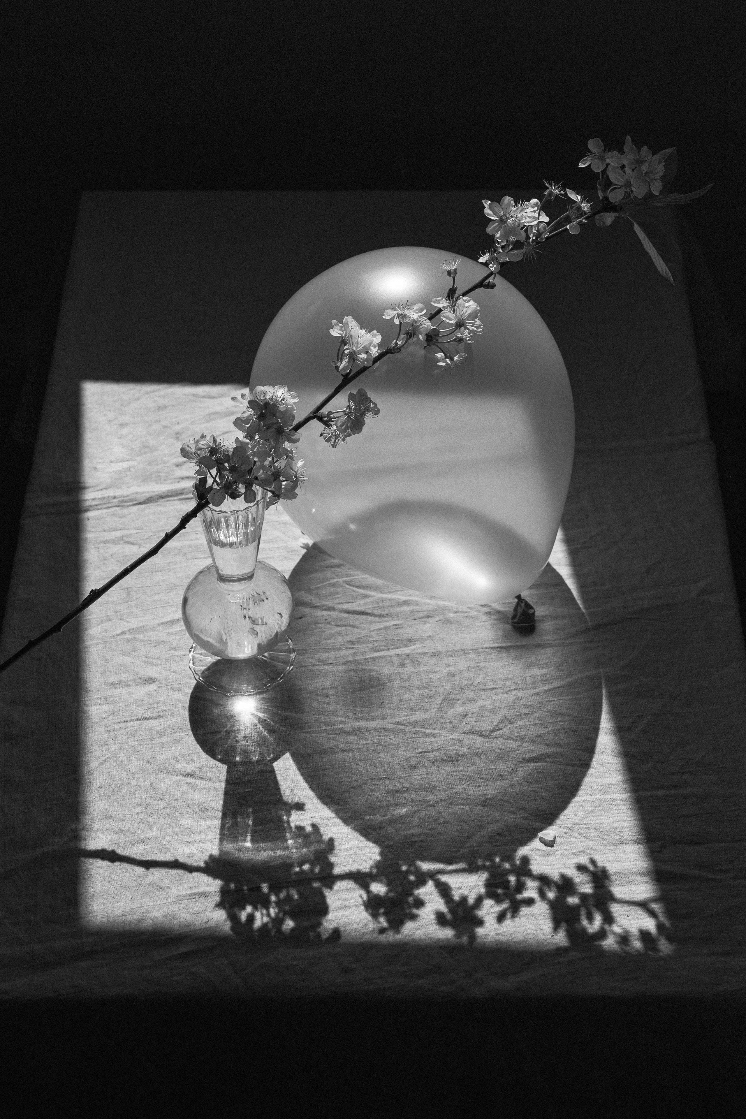 Райский уголок. Фотограф Елена Хазина, Рязань