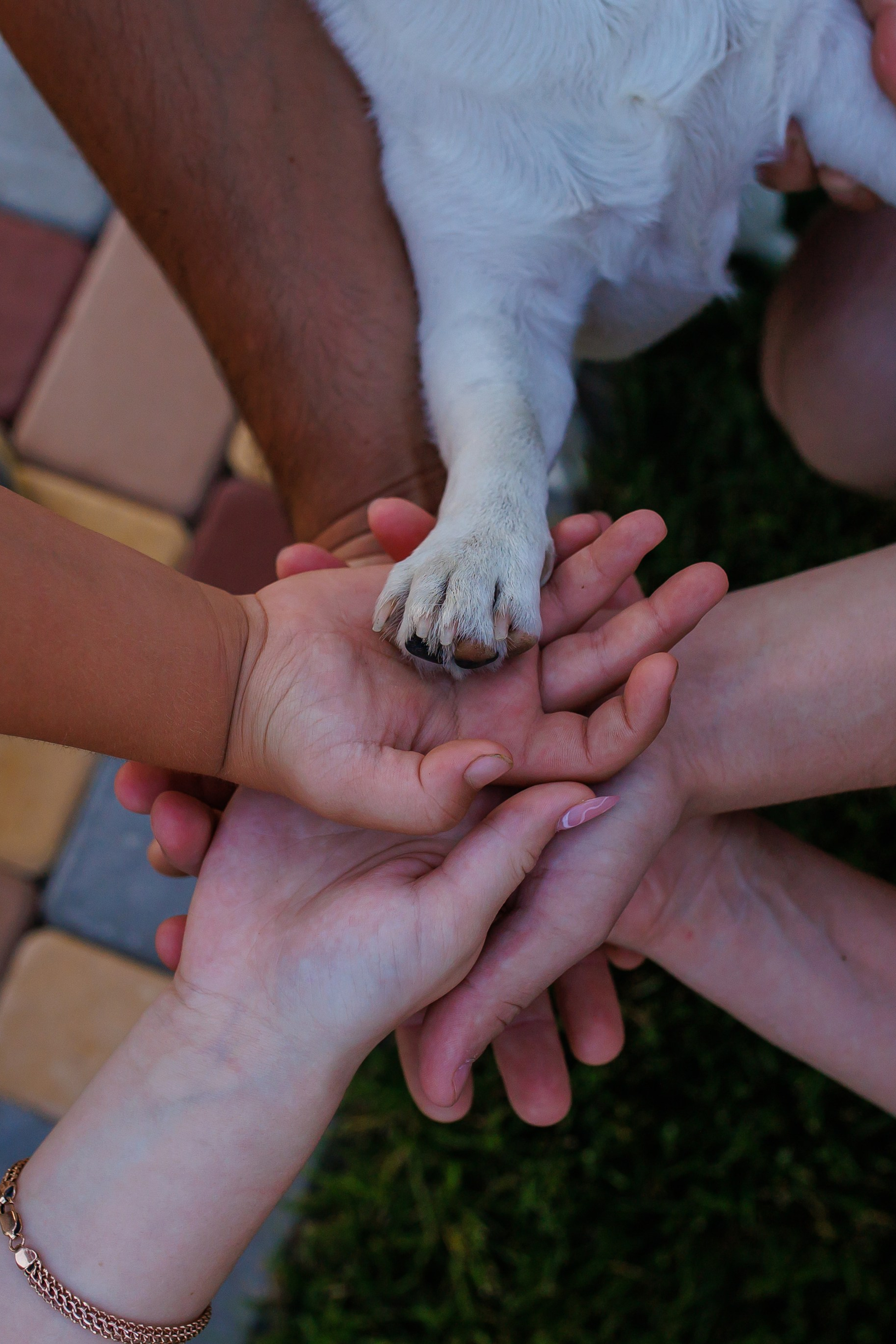 На даче хорошо