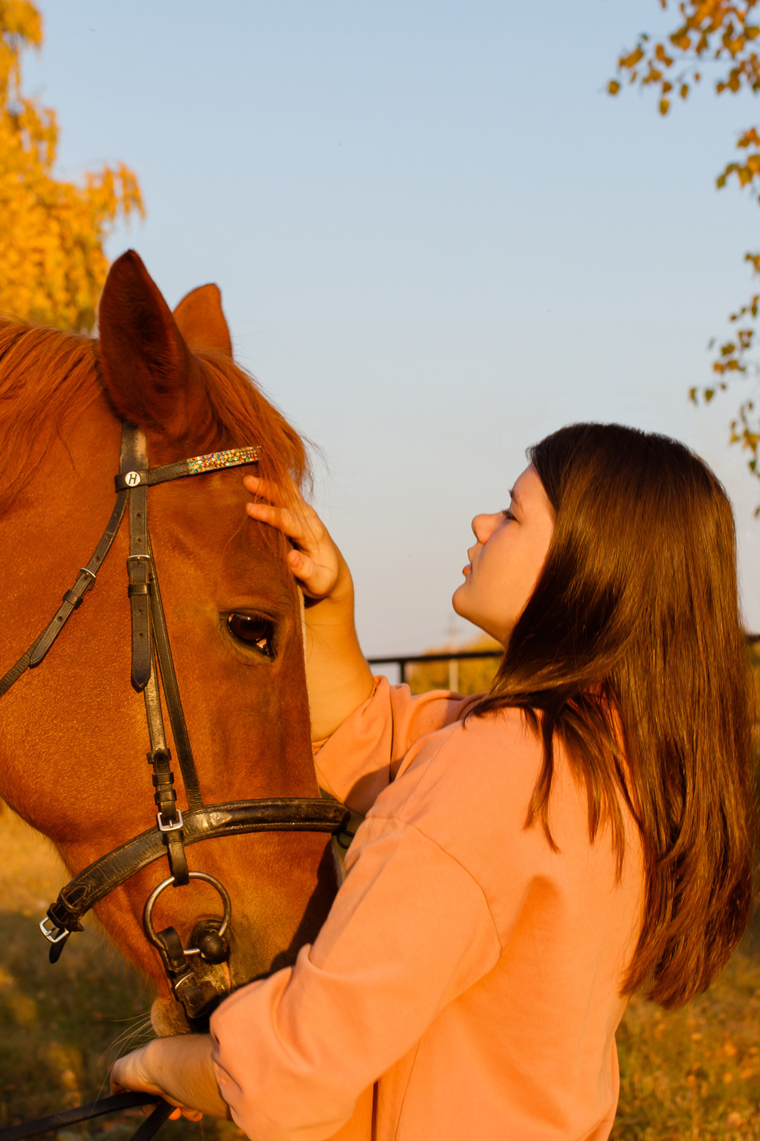 Самира. 7 лет в конном спорте