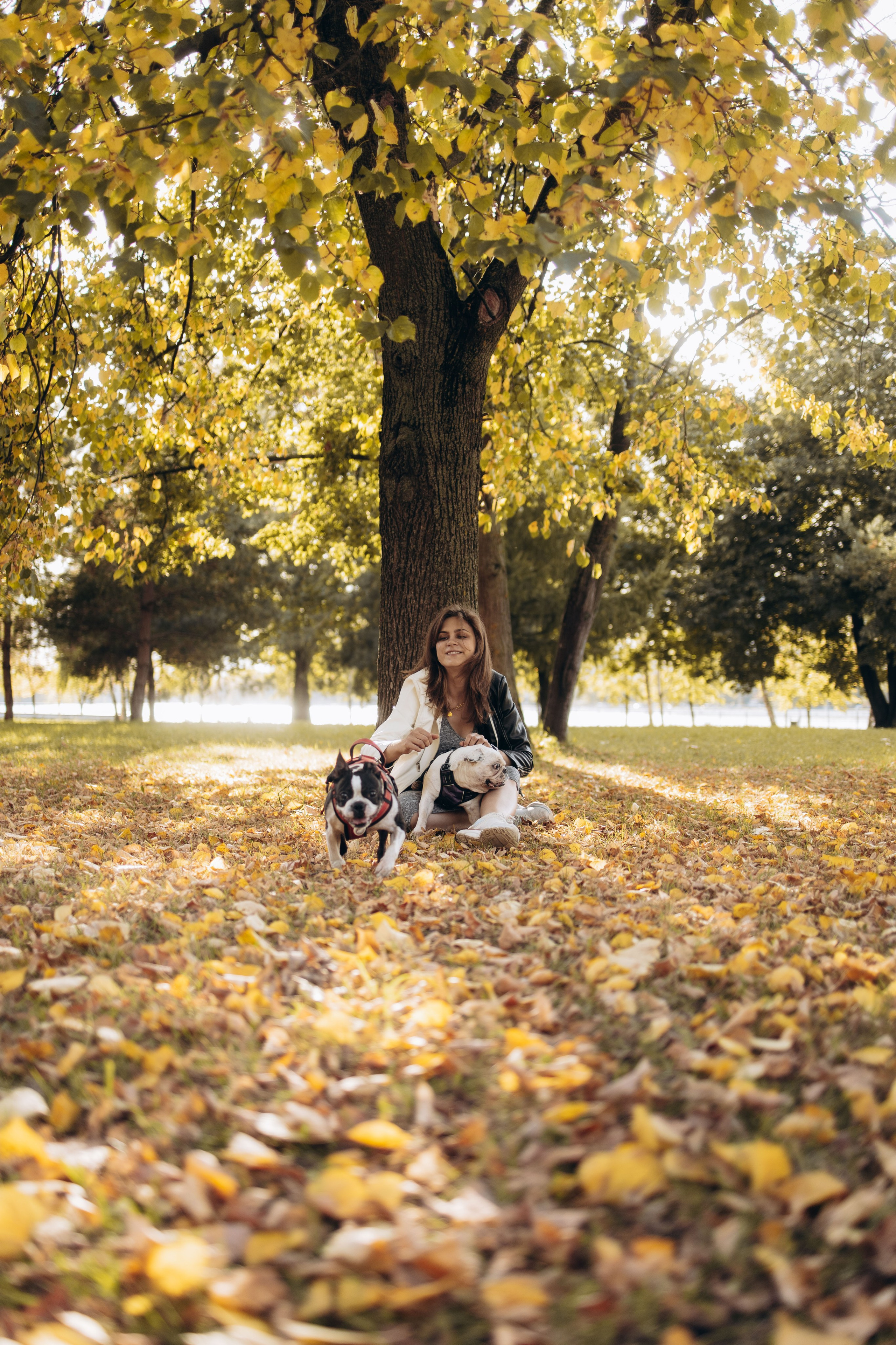 Оля и бульдоги