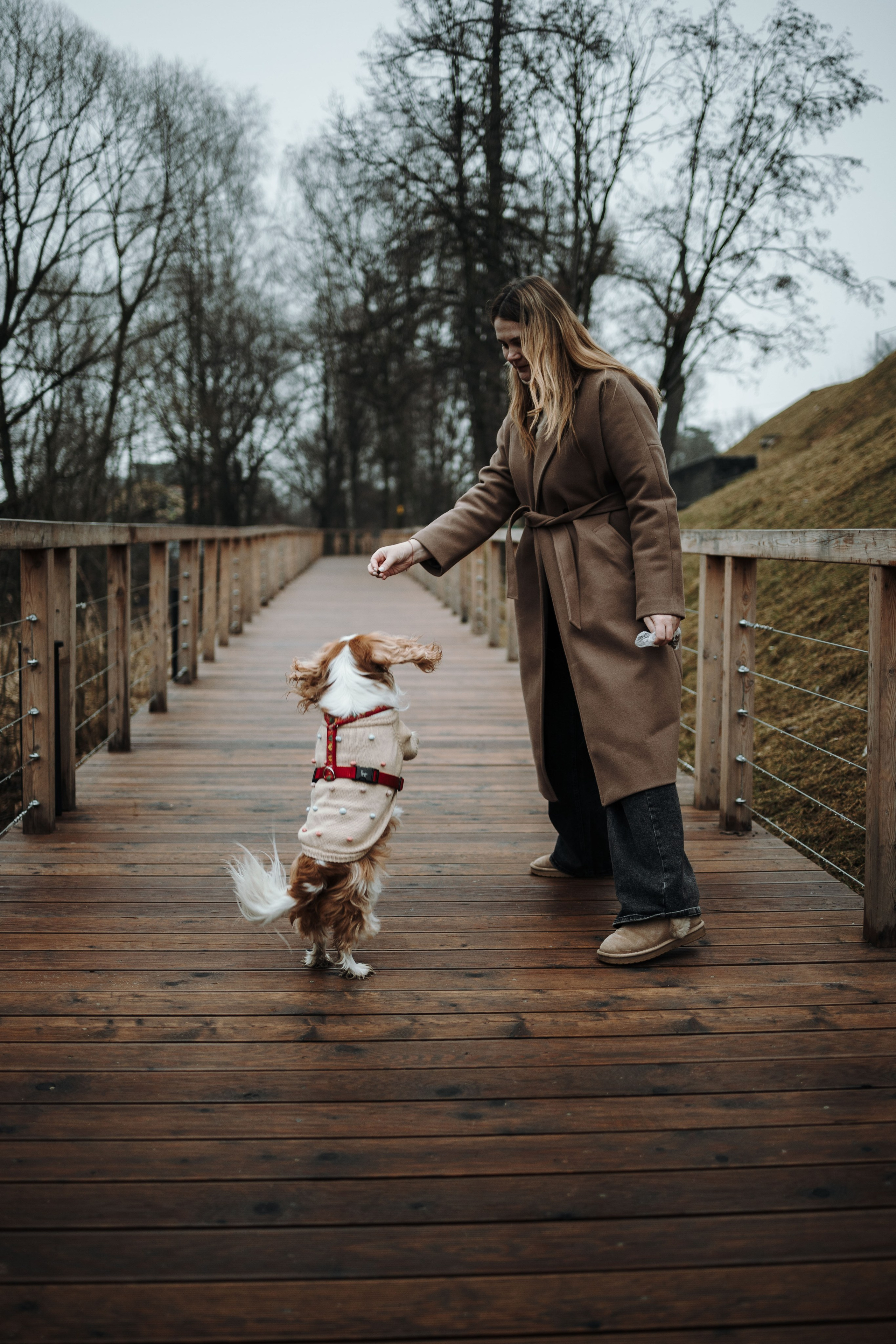 Любовь и Альтаир