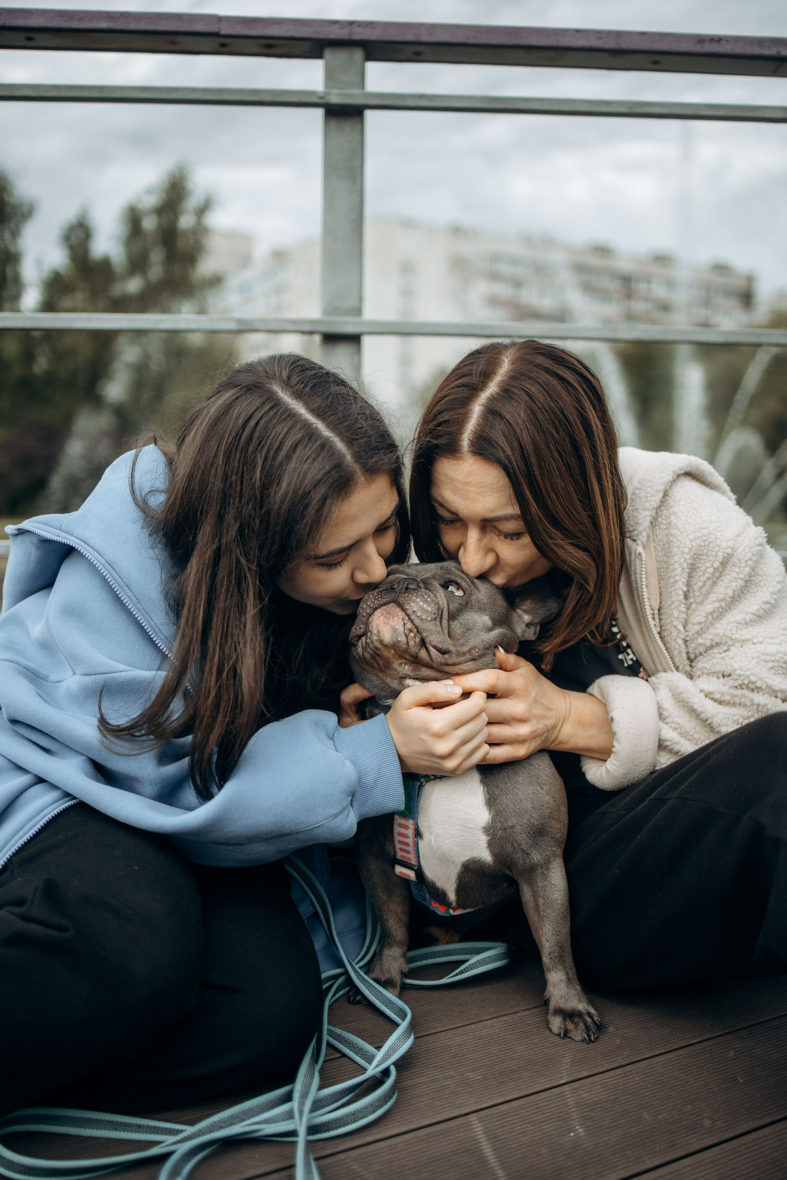 Грей и его семья