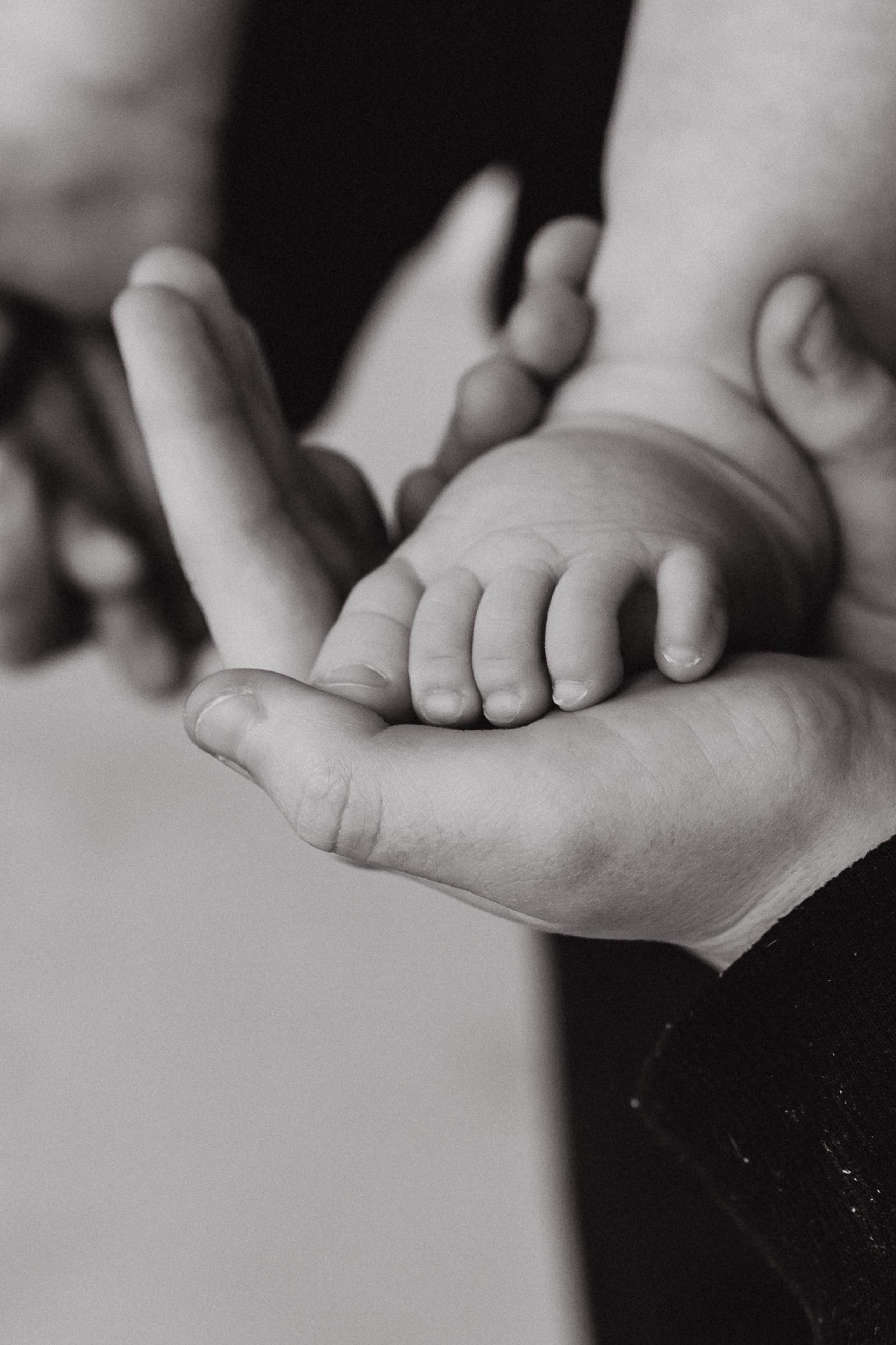 Семейная история