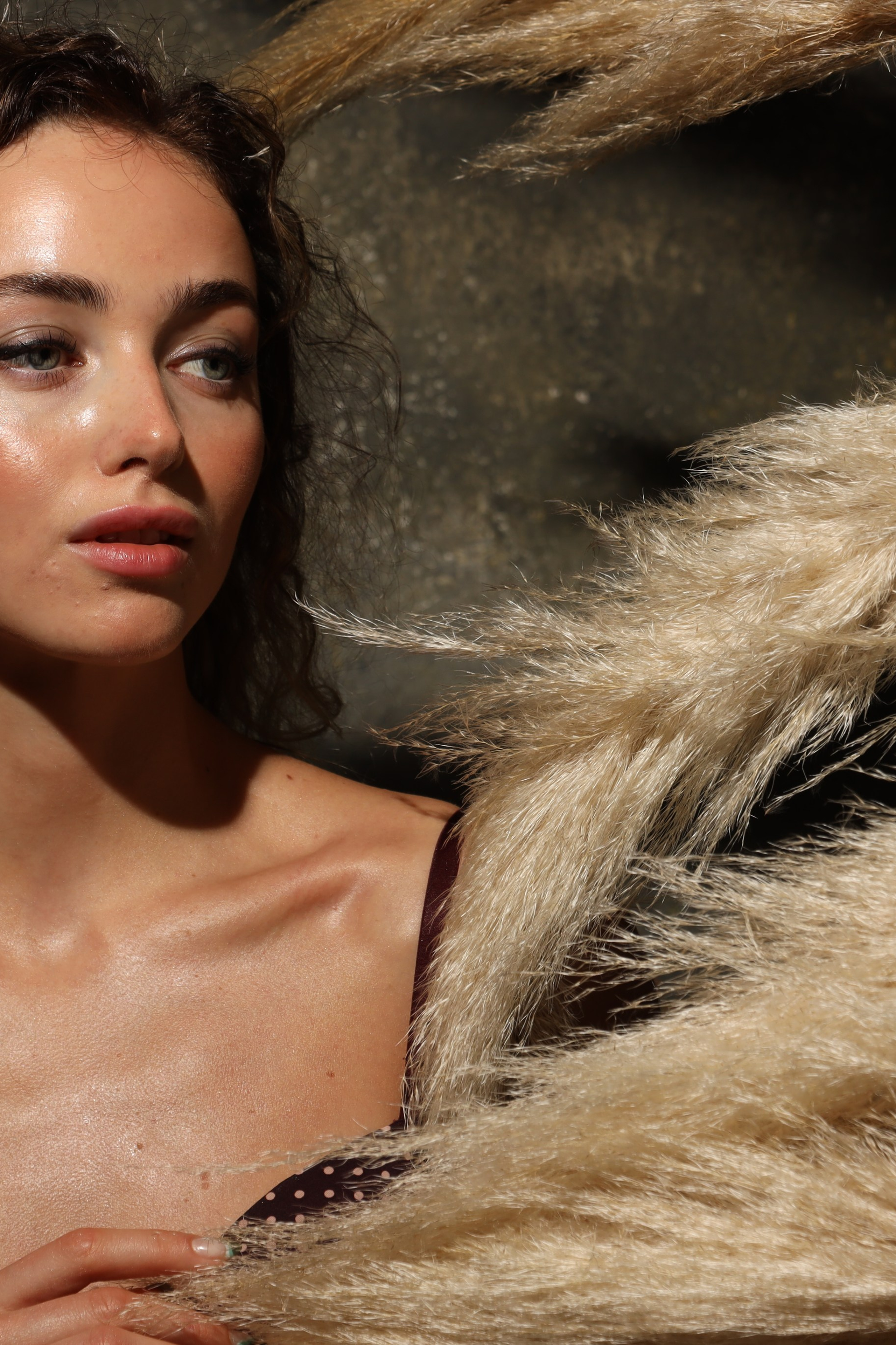 Пампасная трава