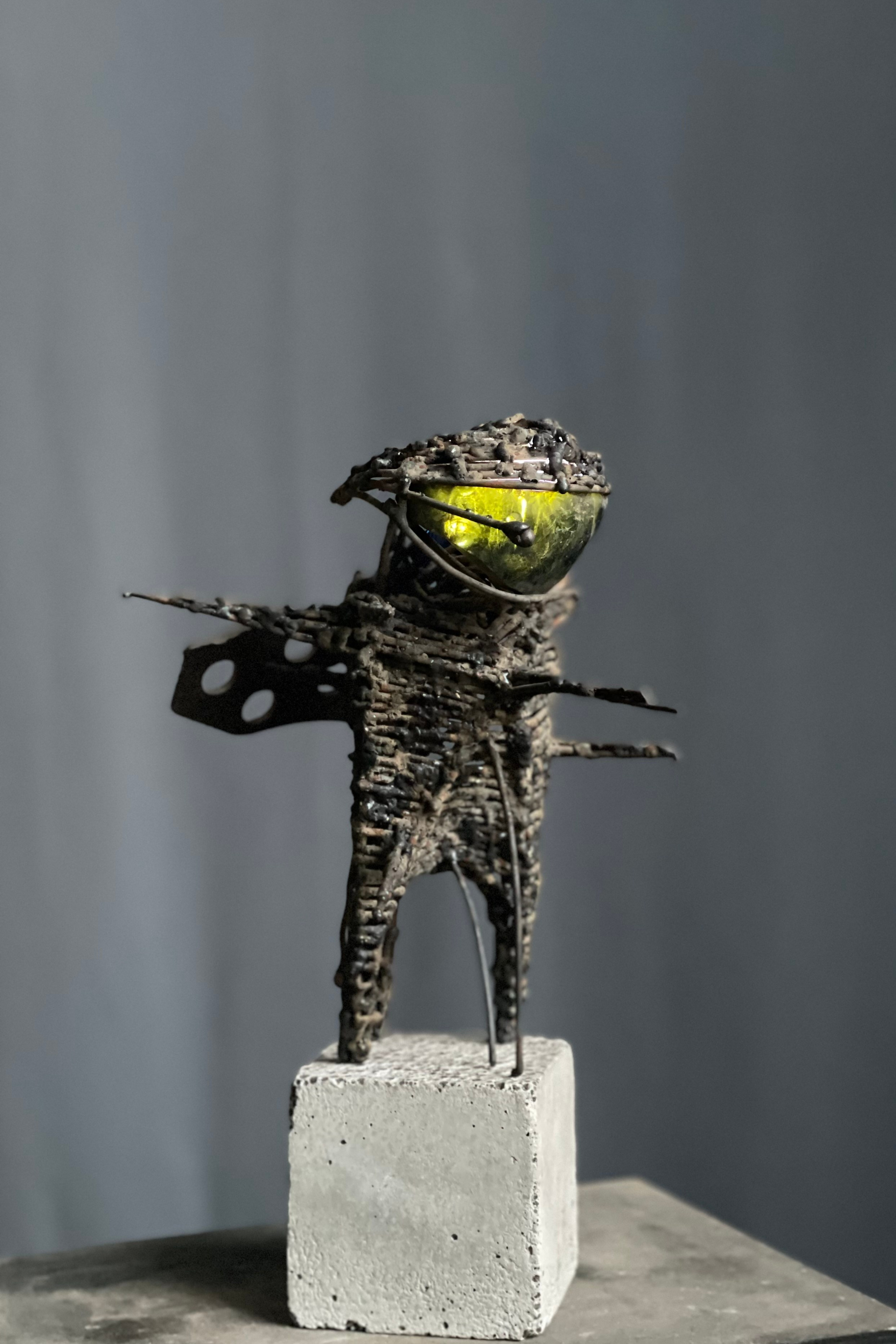 Ископаемый летун_Fossil flyer_2020