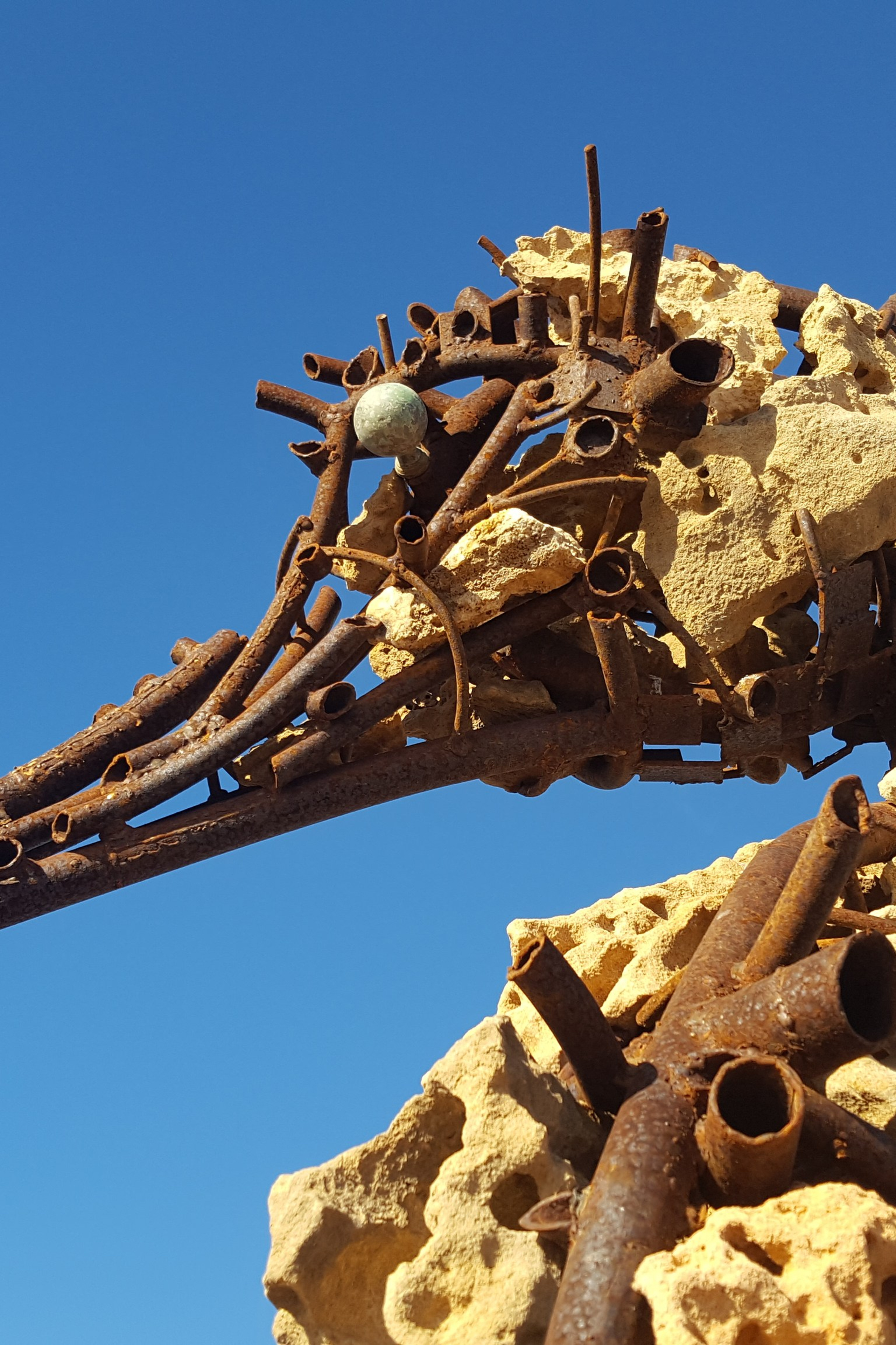 Морской конёк/Испания/Канарские о-ва/ Фуэртевентура/2017