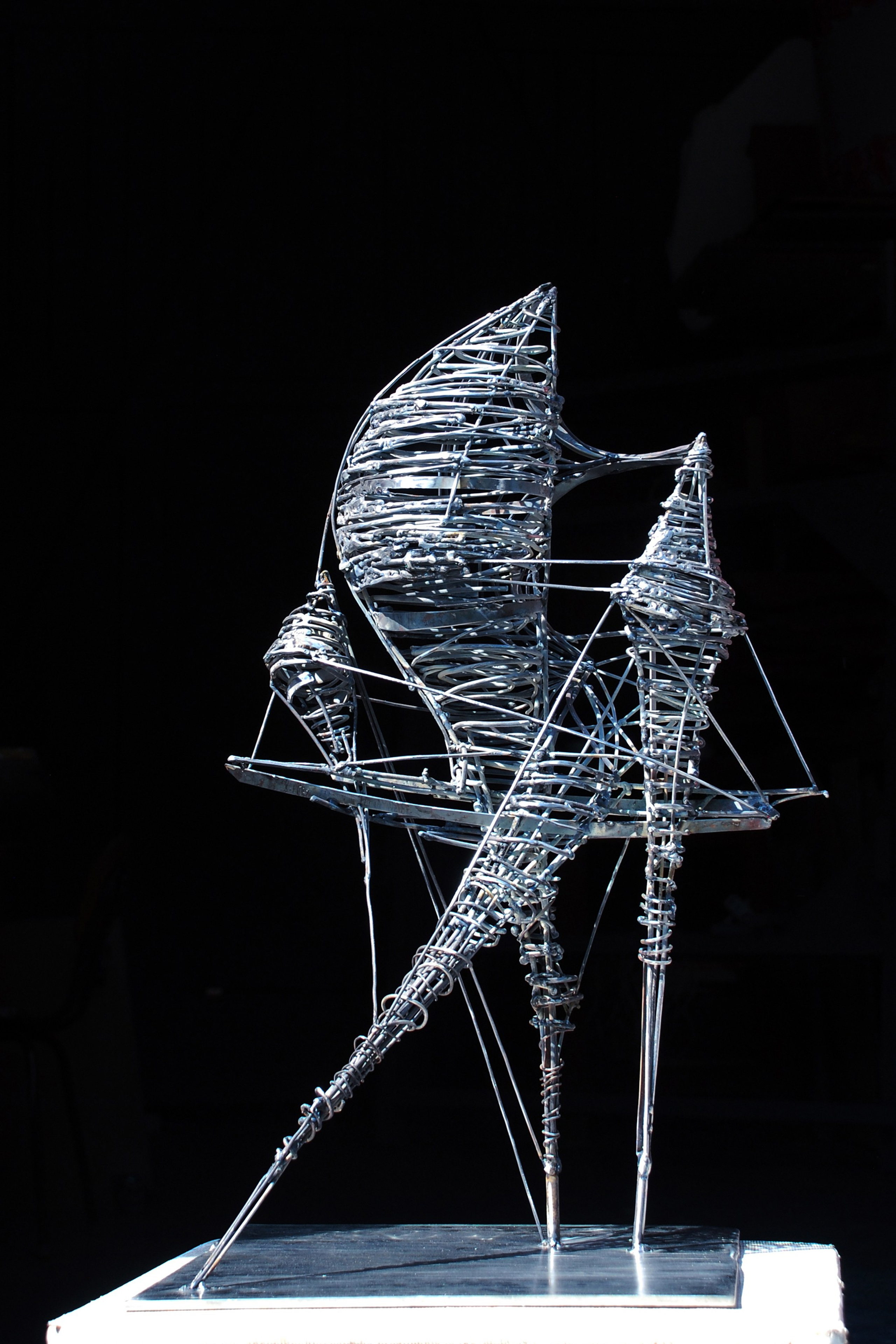 Летучий корабль/водный путь