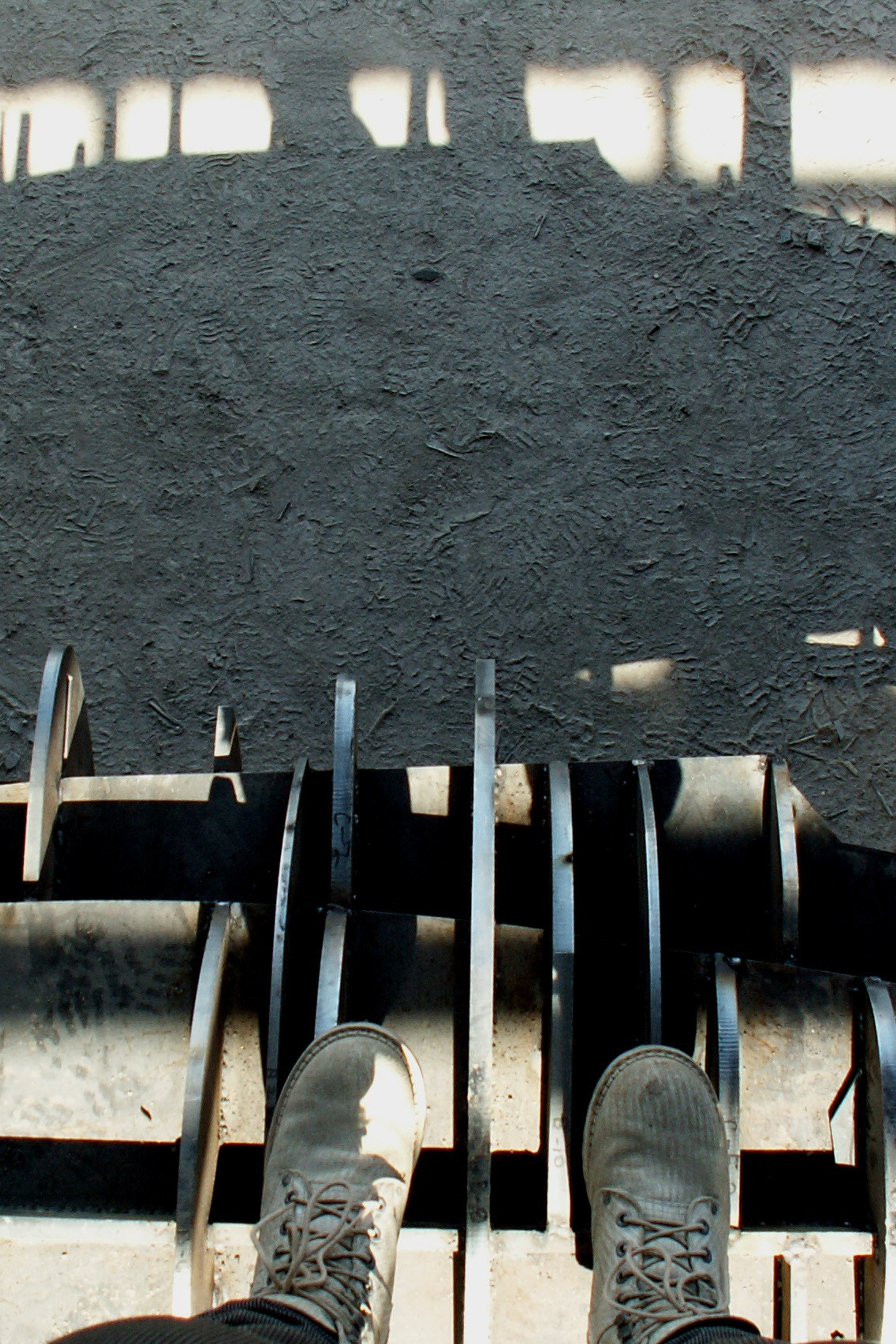 Тишина или большие деревья /СПб/Сад Нева/2013