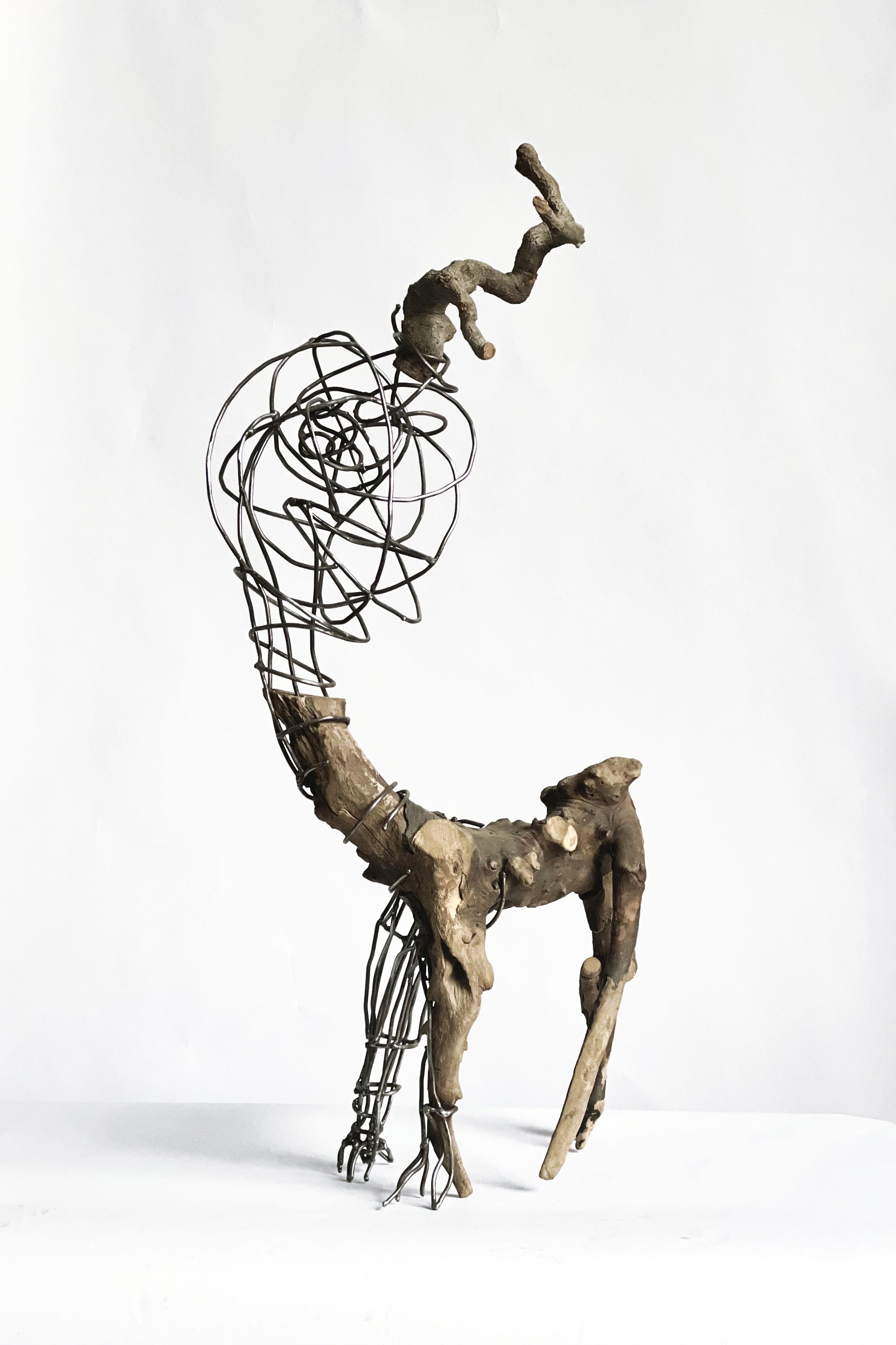 серия «пойманные лесом» / series «Caught by the Forest»