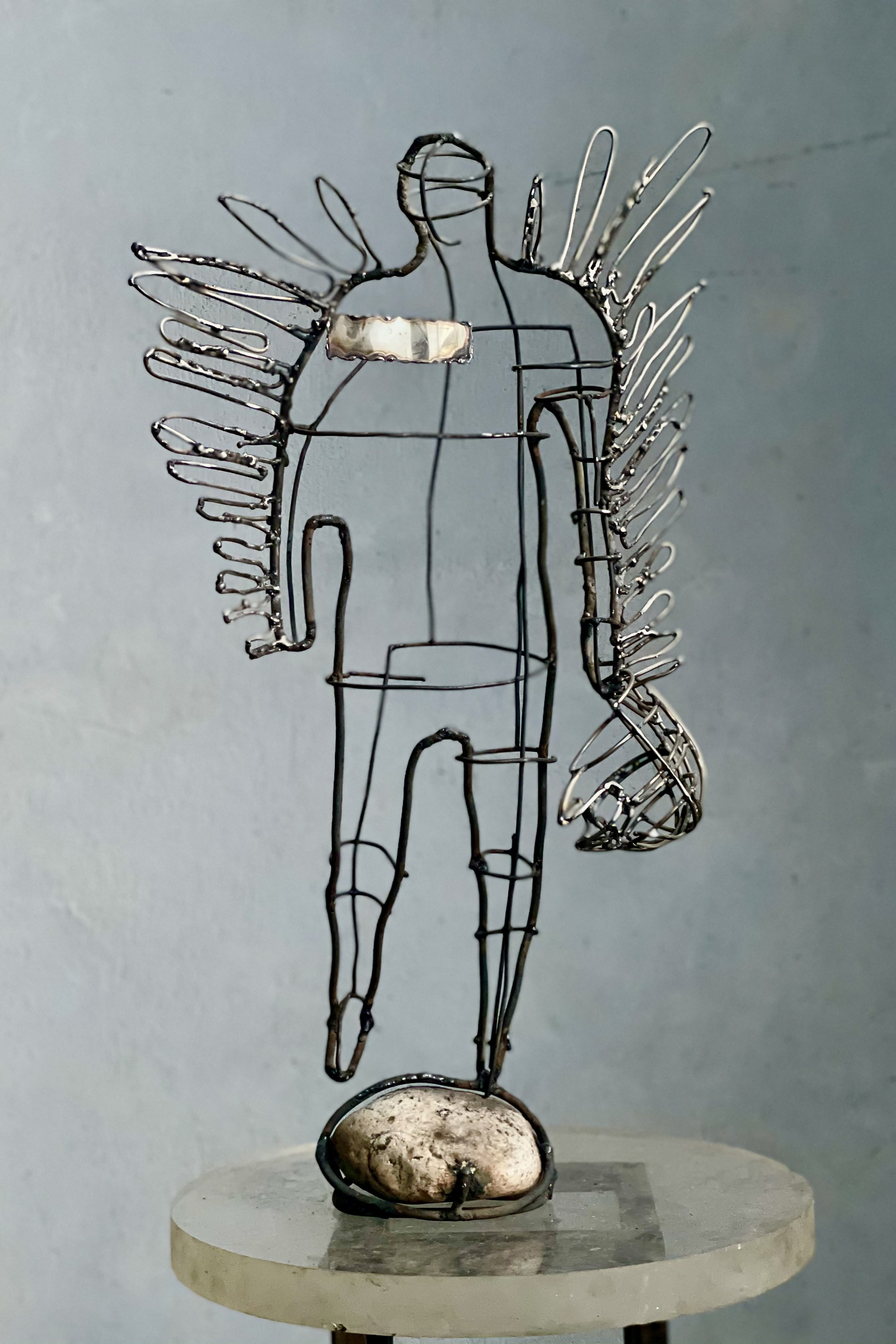 человек птица_man-bird_2020