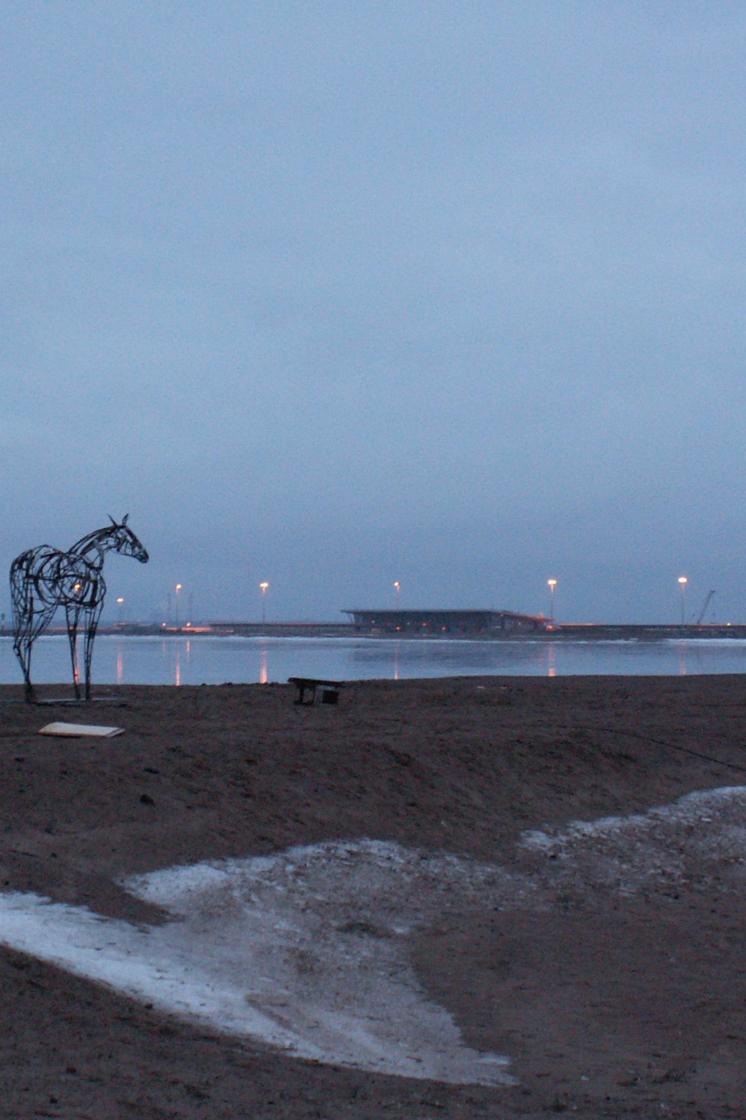 нежная лошадь