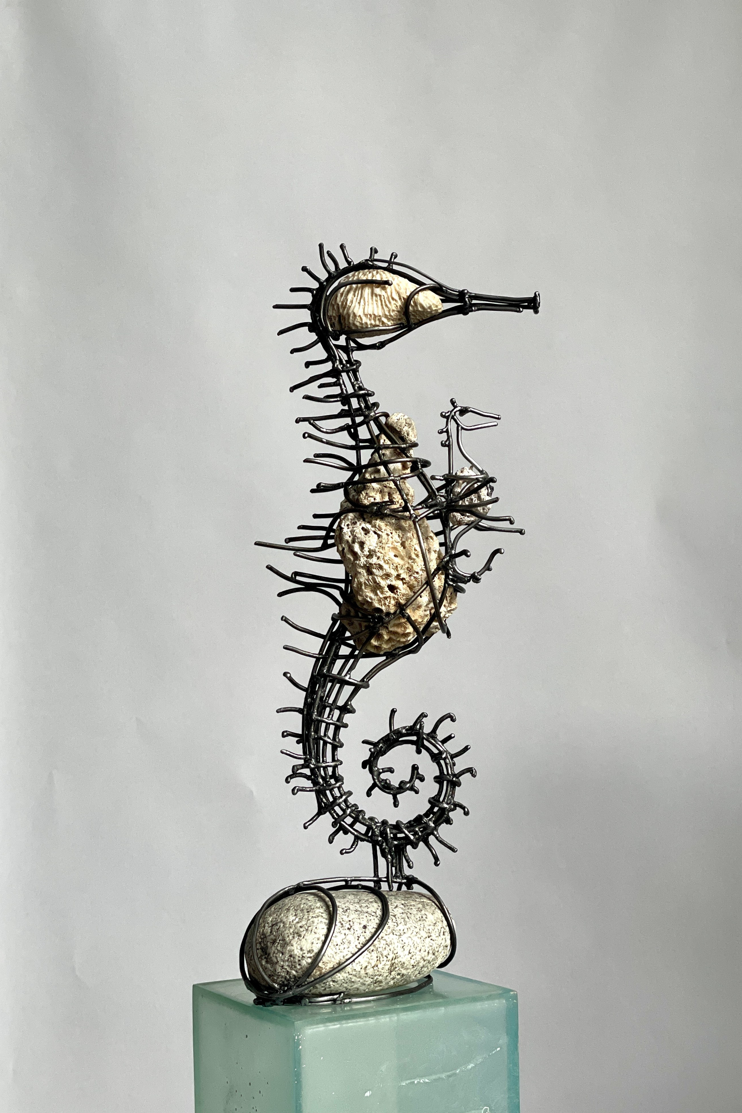 Морской конек_ 2024