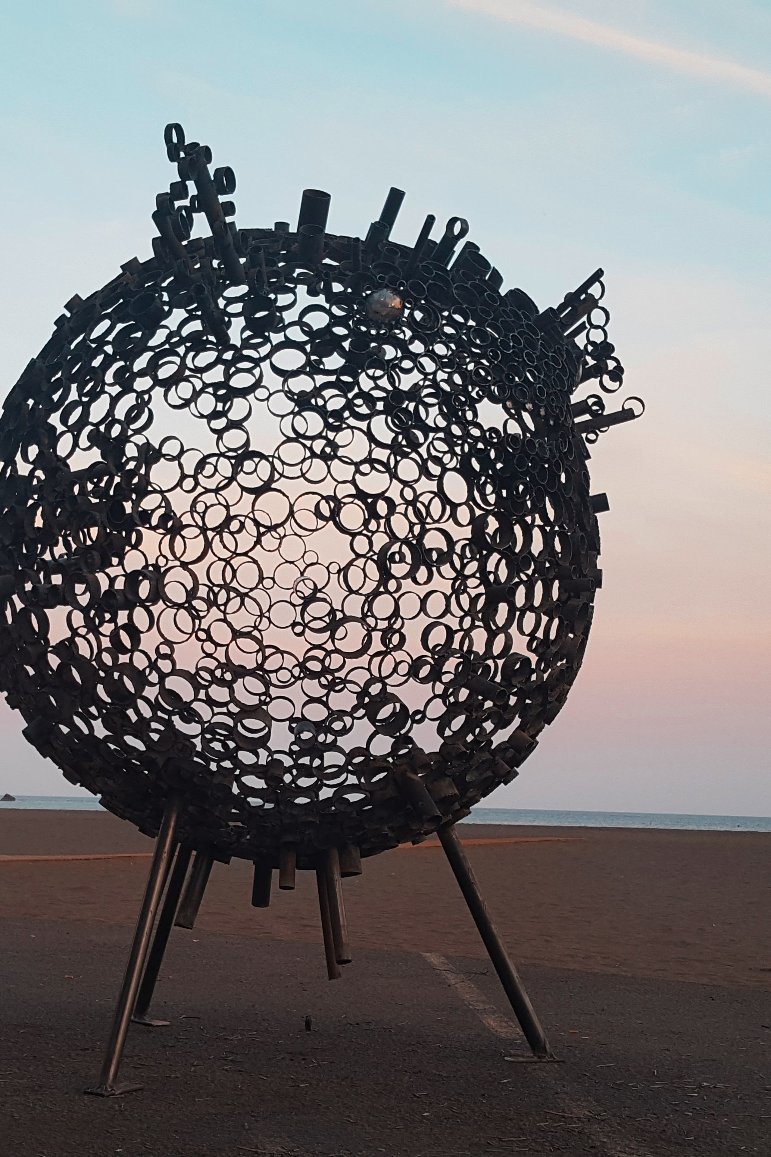 Рыба-шар_Испания _Канарские острова_Фуертевентура_ 2019