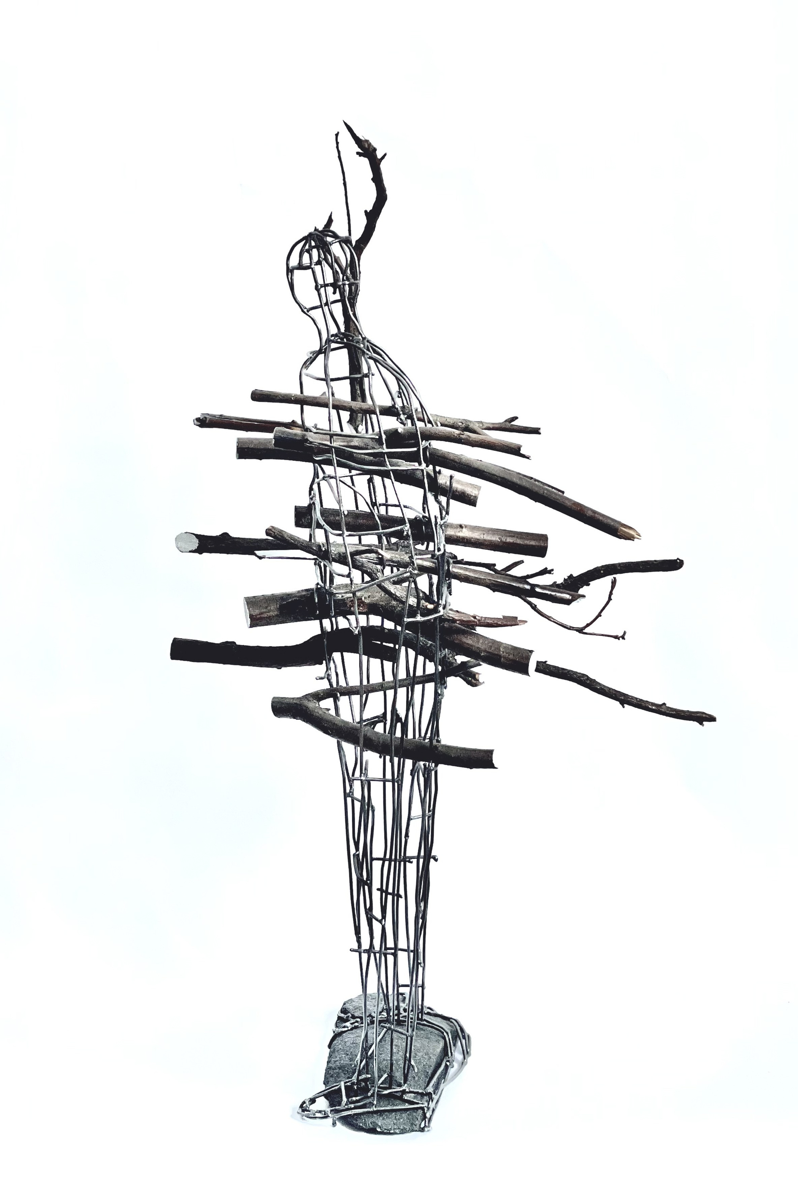 пойманный лесом / caught by the forest_2023