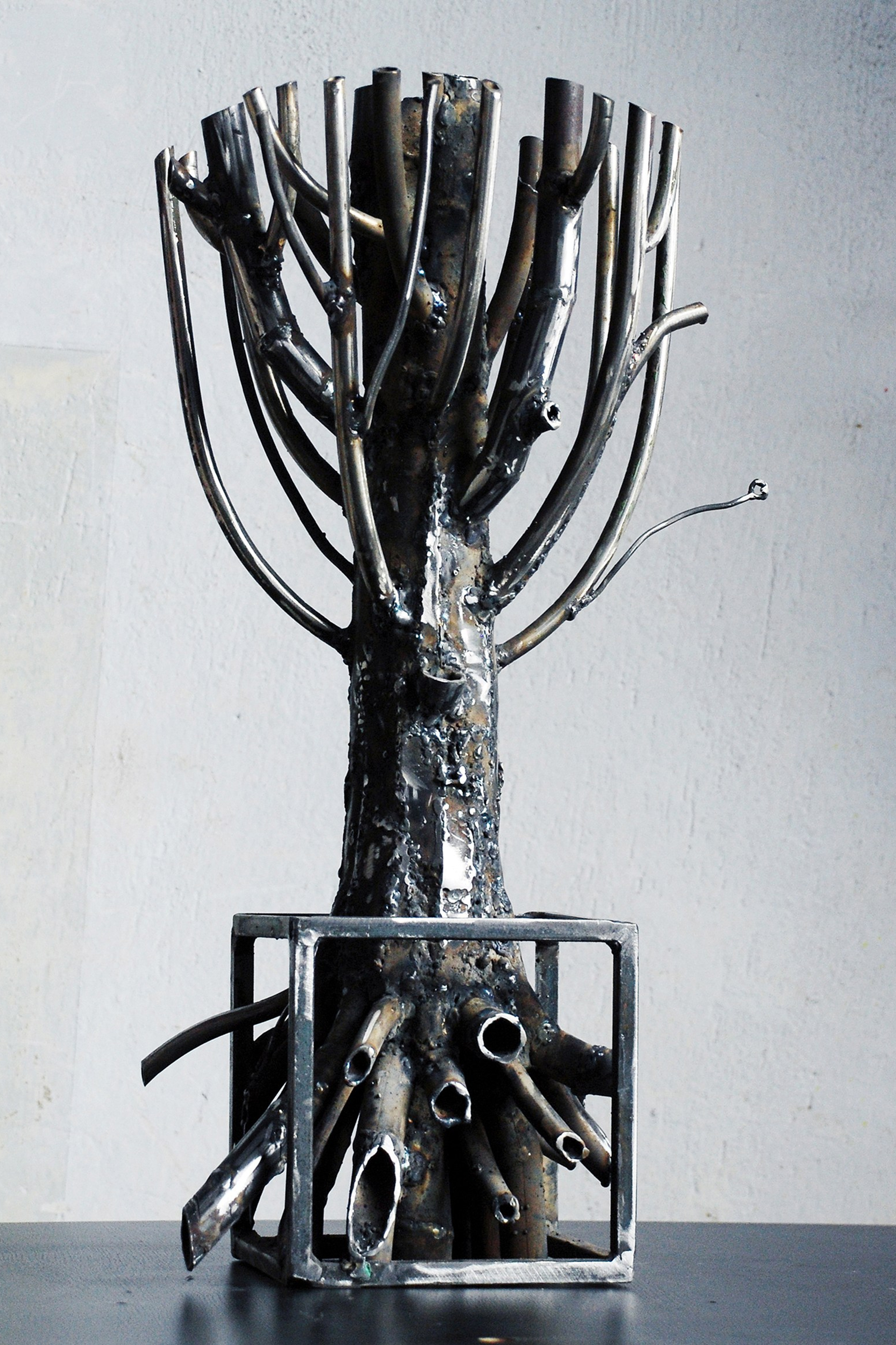 железное дерево