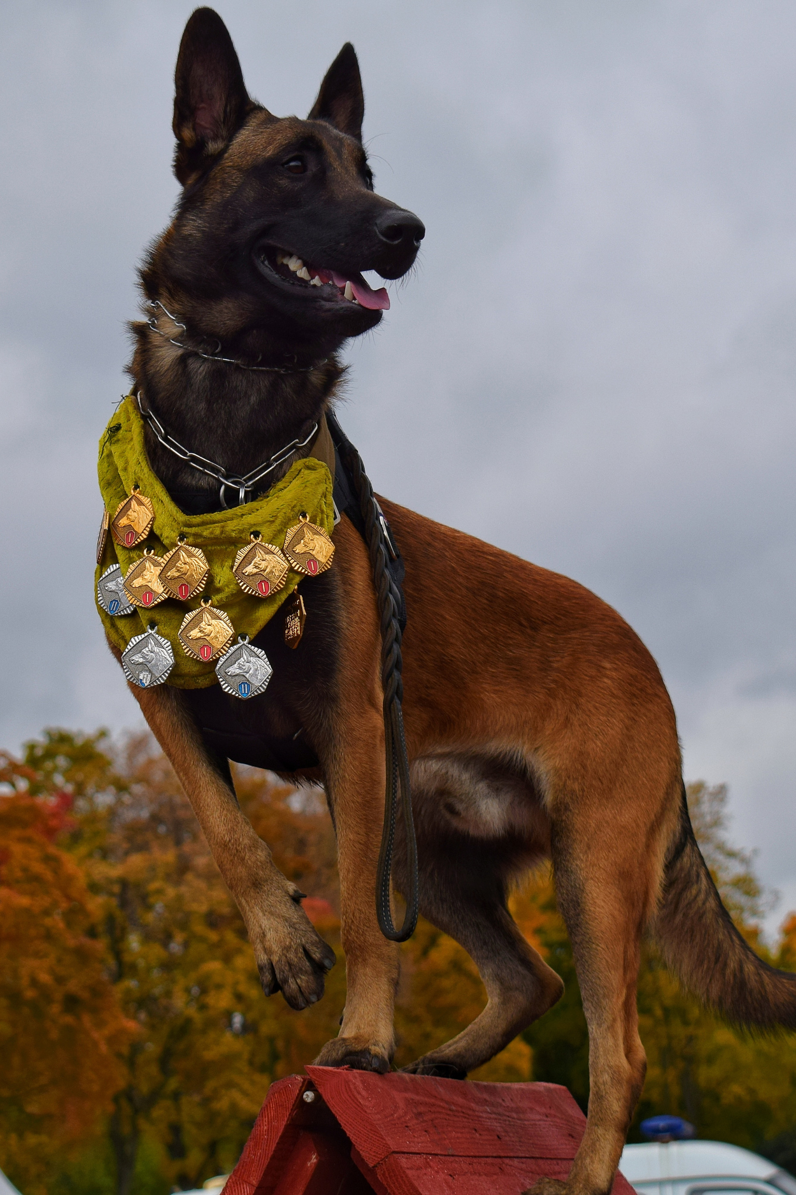 Спортивный парад полиции