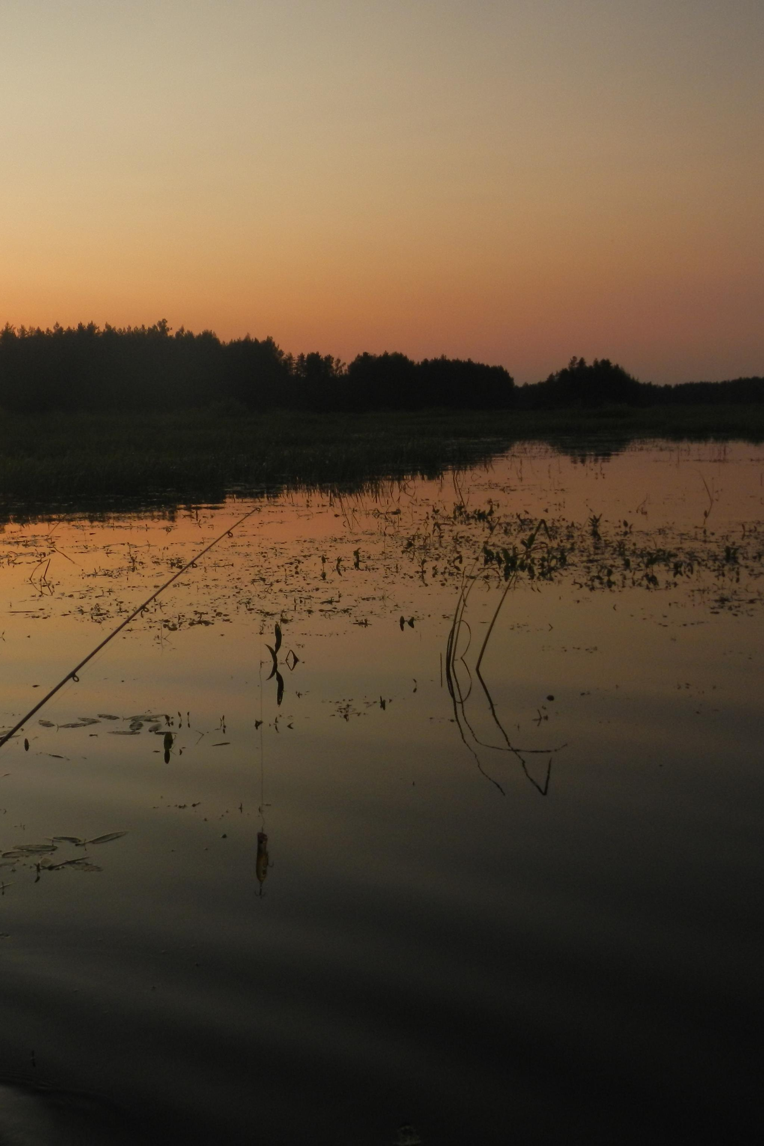 Природные пейзажи