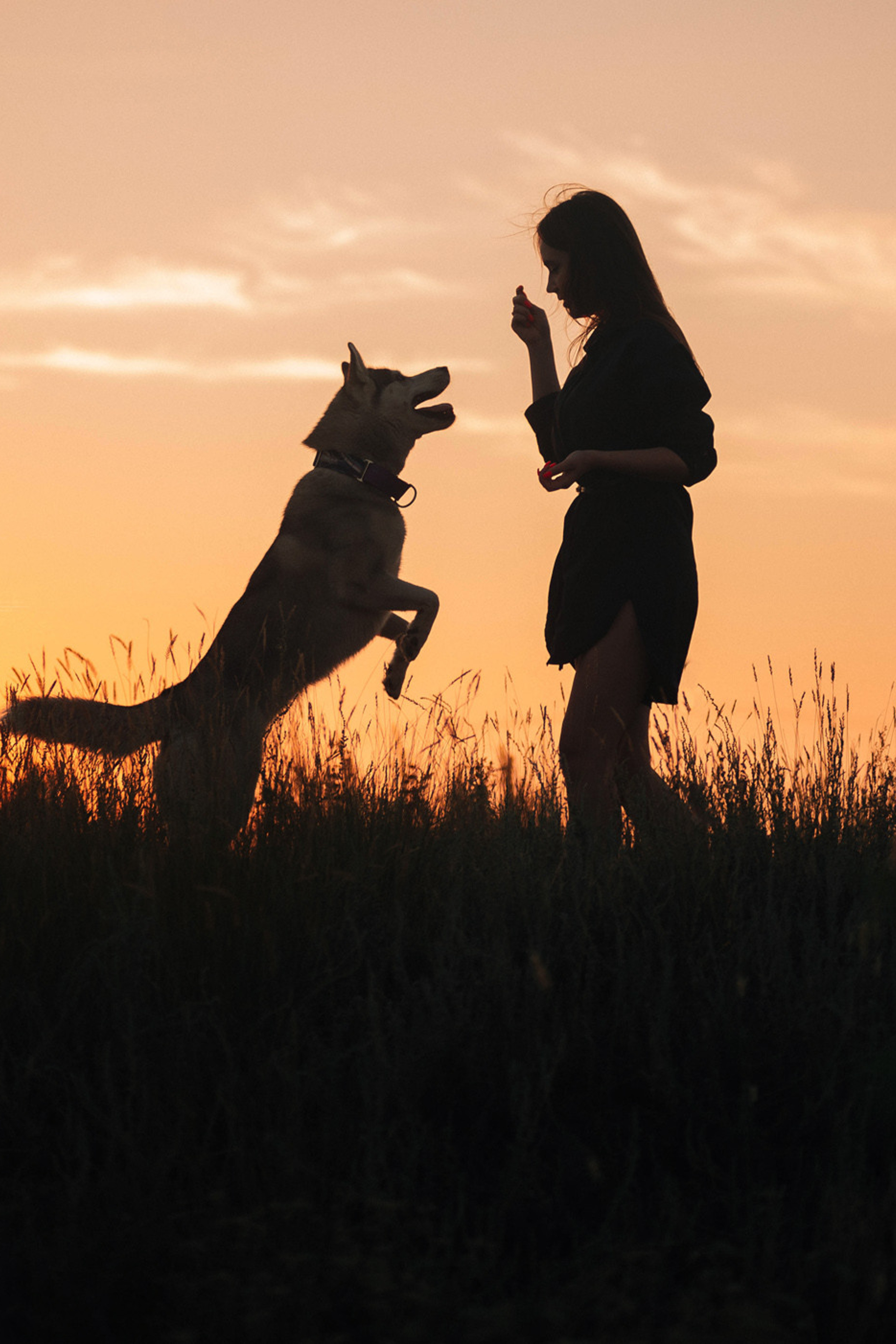 Портфолио. Фотограф — анималист Саратов/Москва|Плужникова Юлия