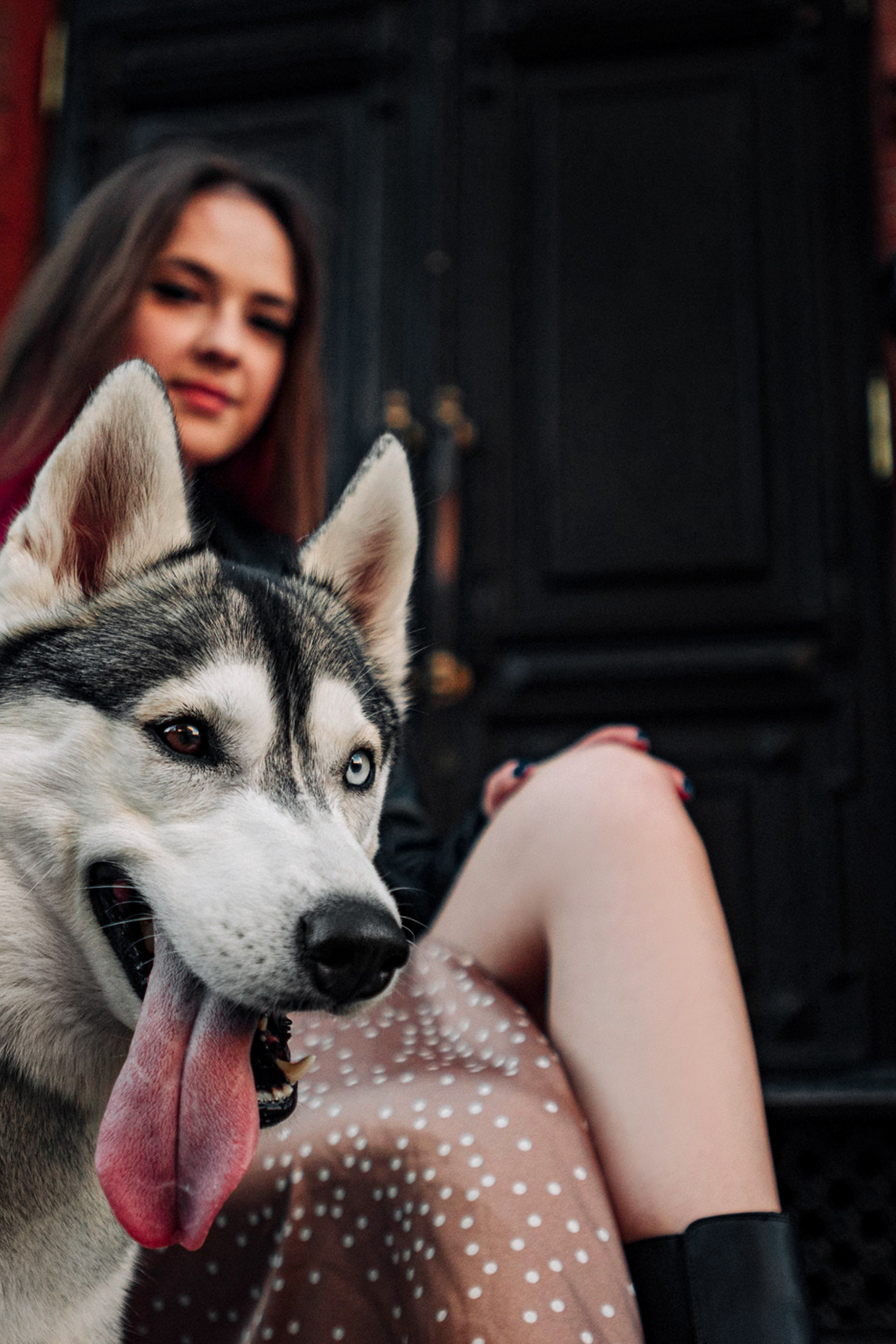 Портфолио. Фотограф — анималист Саратов/Москва|Плужникова Юлия