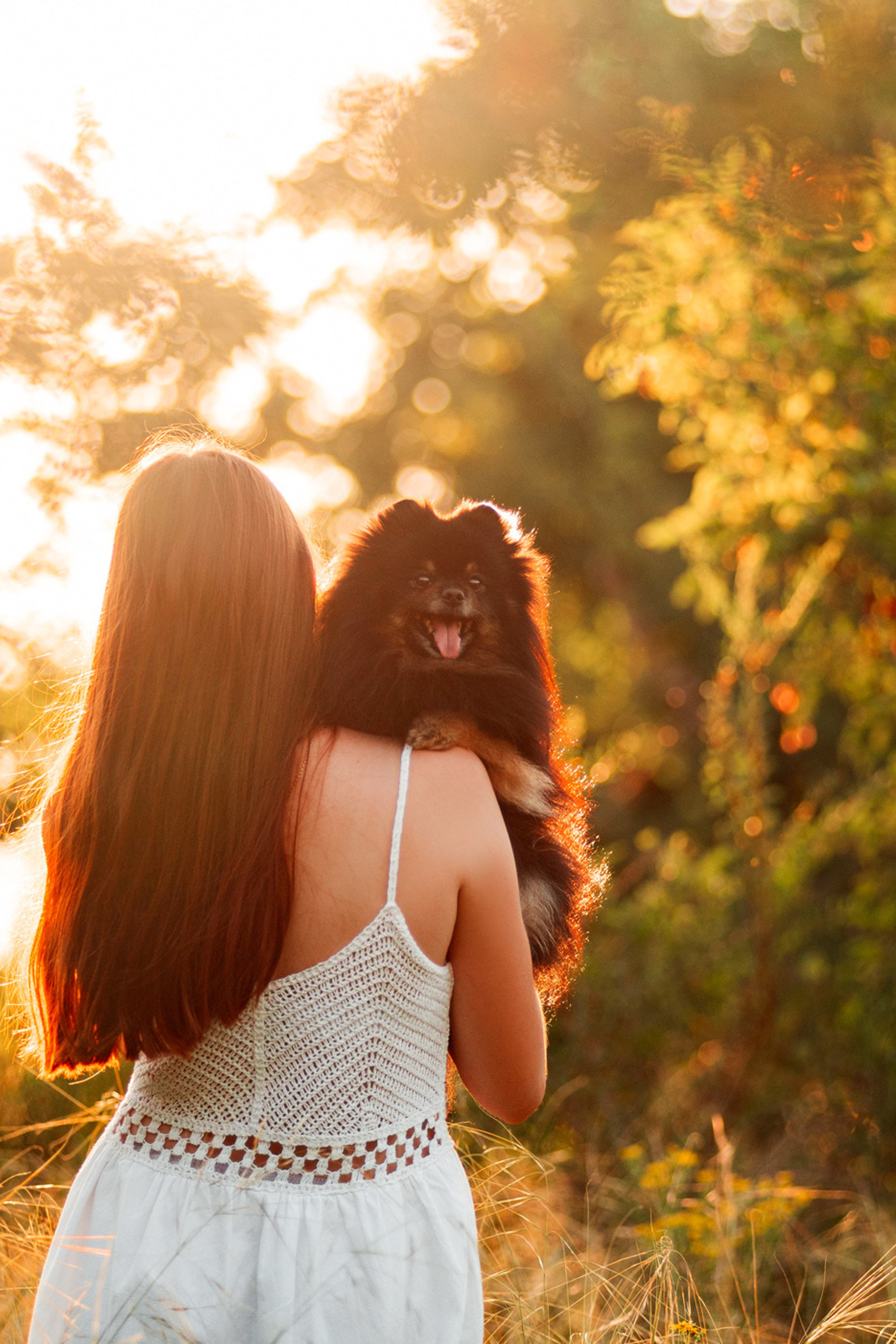 Портфолио. Фотограф — анималист Саратов/Москва|Плужникова Юлия