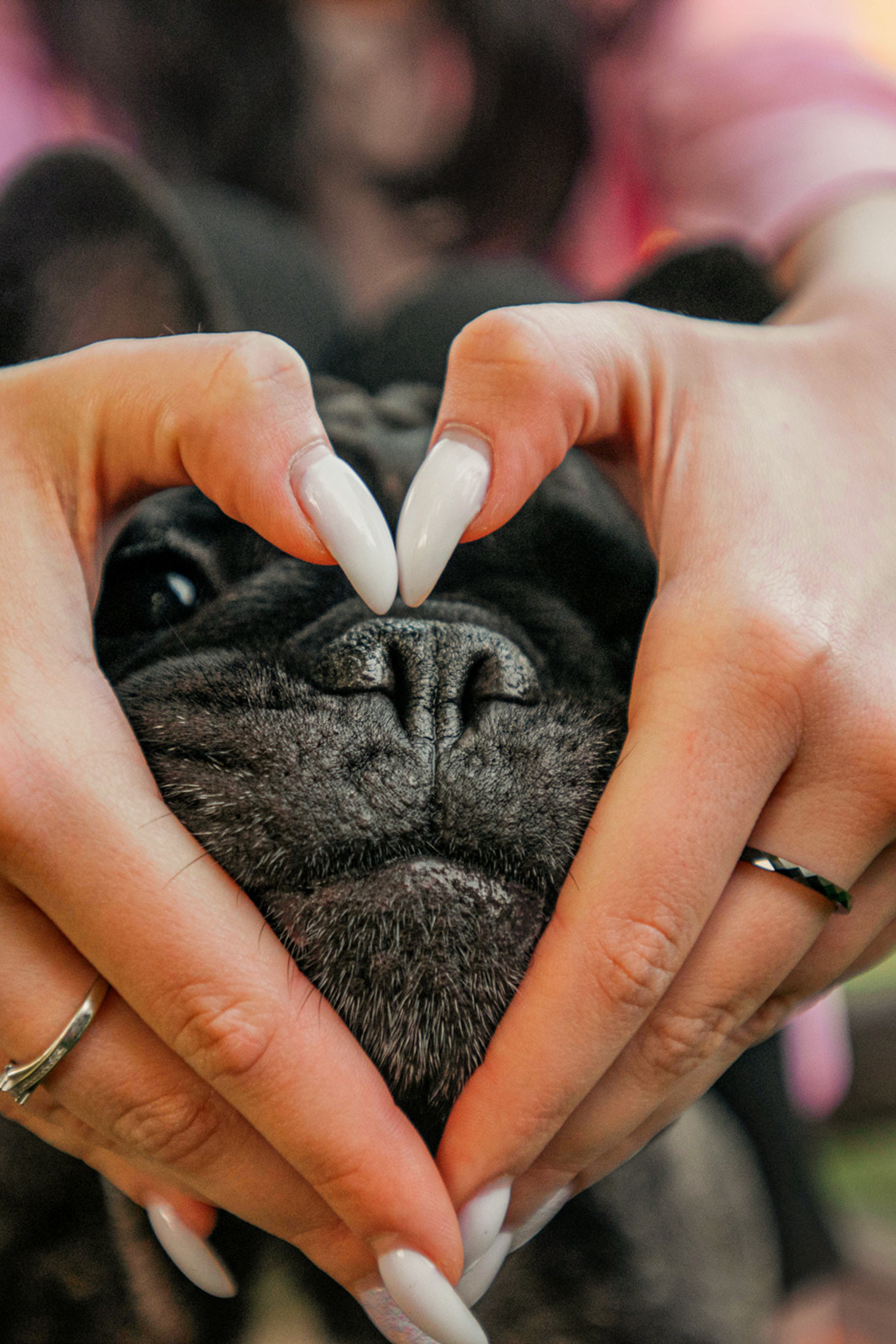 Портфолио. Фотограф — анималист Саратов/Москва|Плужникова Юлия