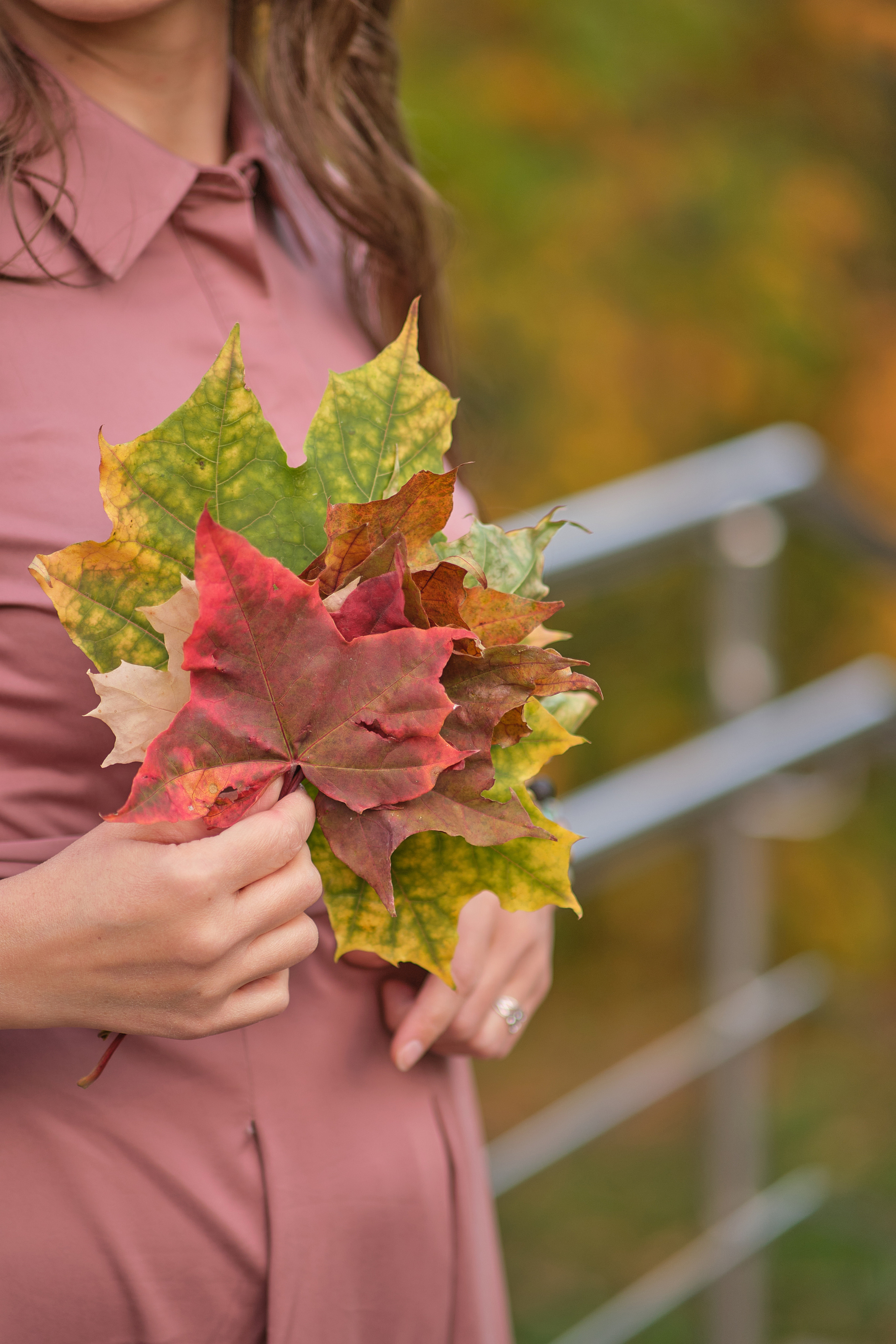 Анонсы съёмок — самые свежие работы