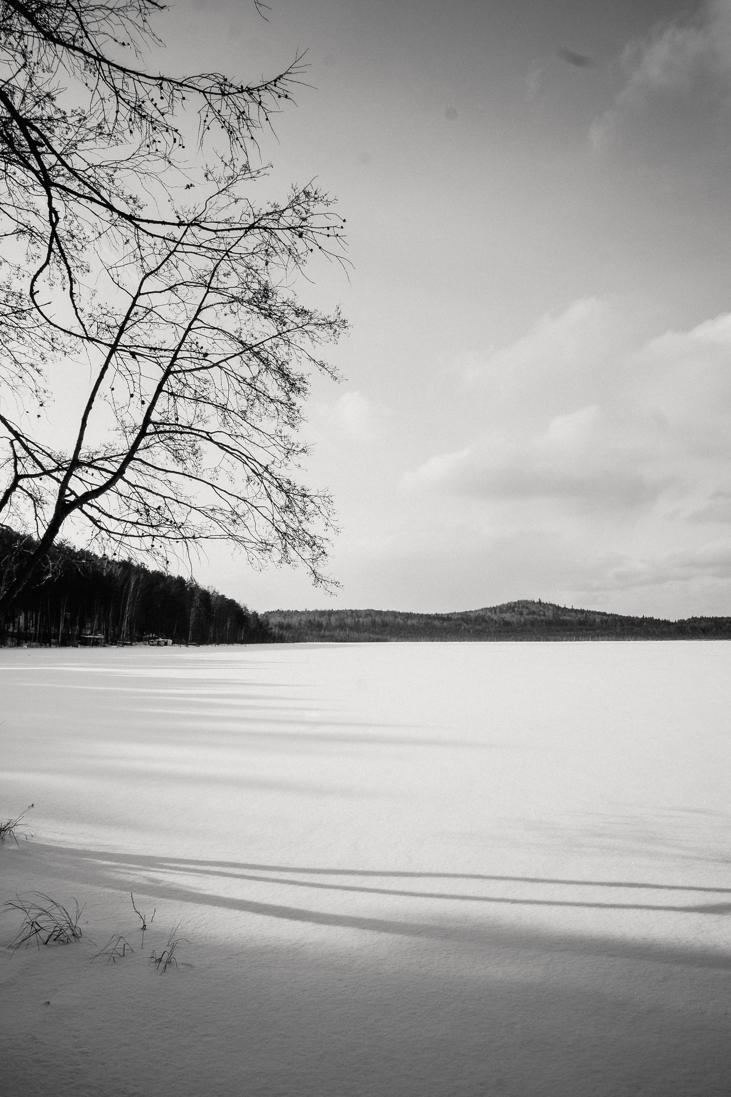 АБХАЗИЯ. ГЛАВНАЯ