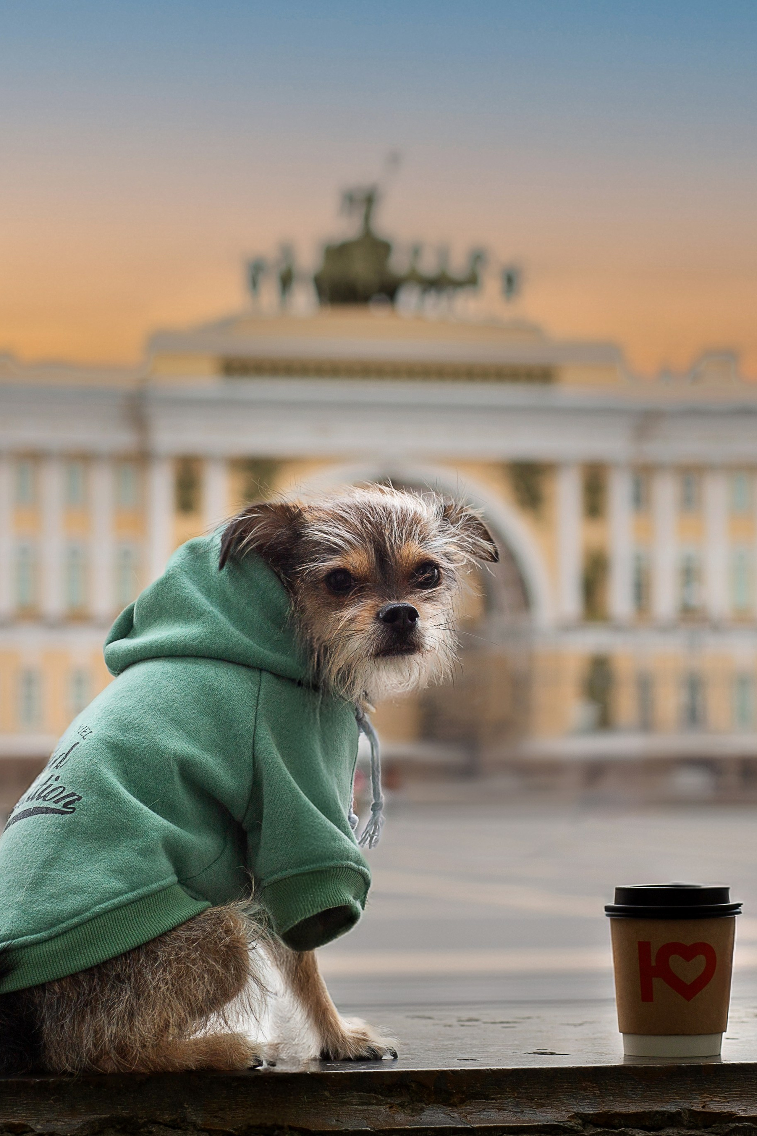 Фотосессия питомца