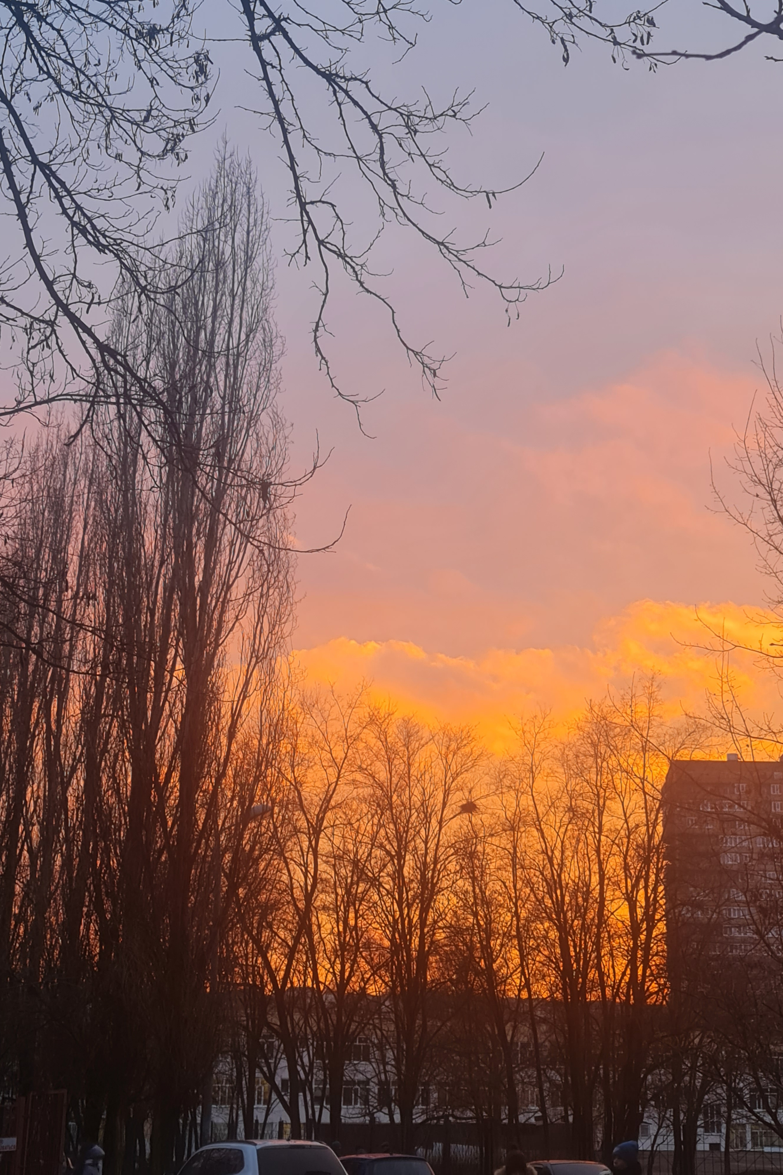 Отзывы. Церковный и семейный фотограф в Ростове-на-Дону