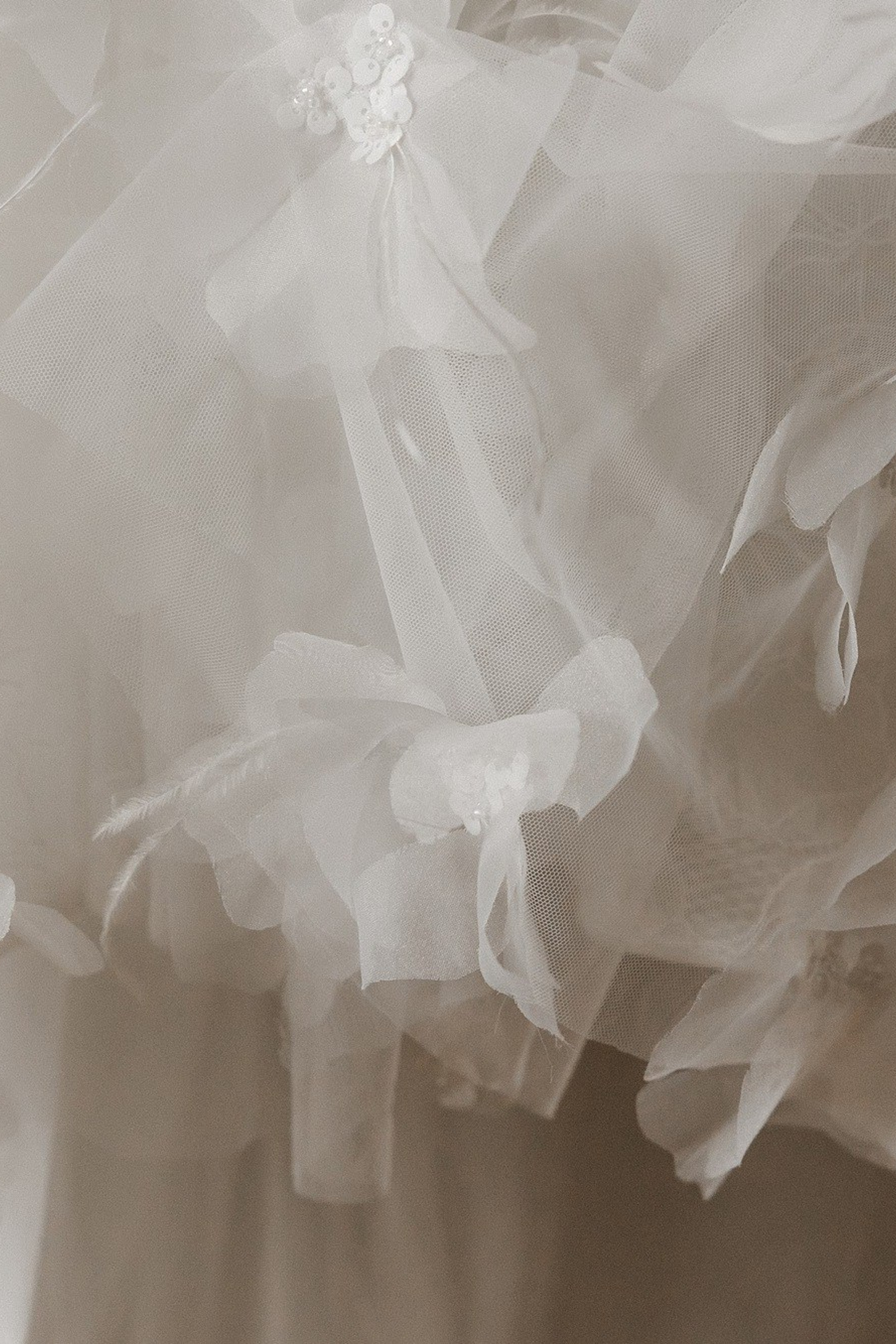 Анастасия и Антон