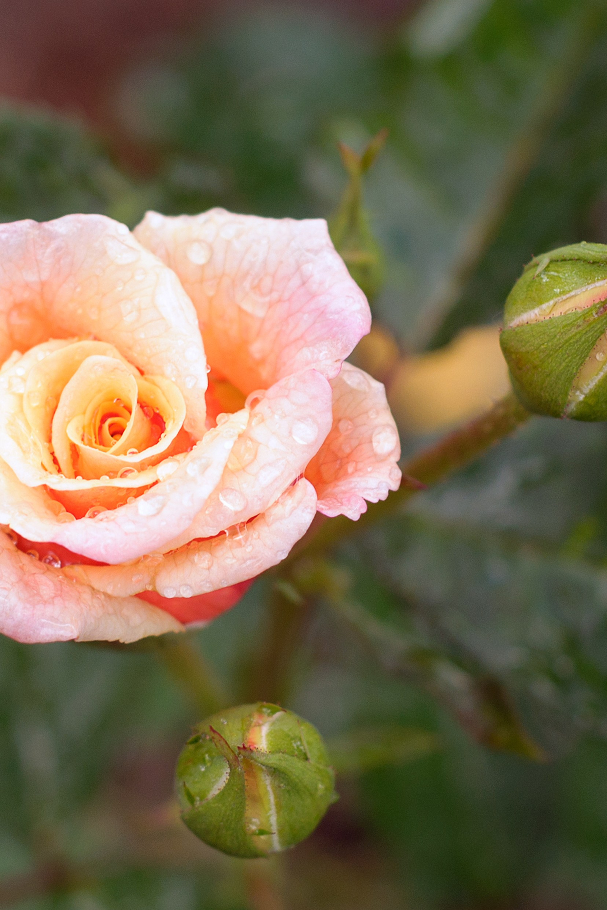 Истории. Приветствую! Меня зовут Александра, я занимаюсь репортажной и предметной съемкой в Красноярске