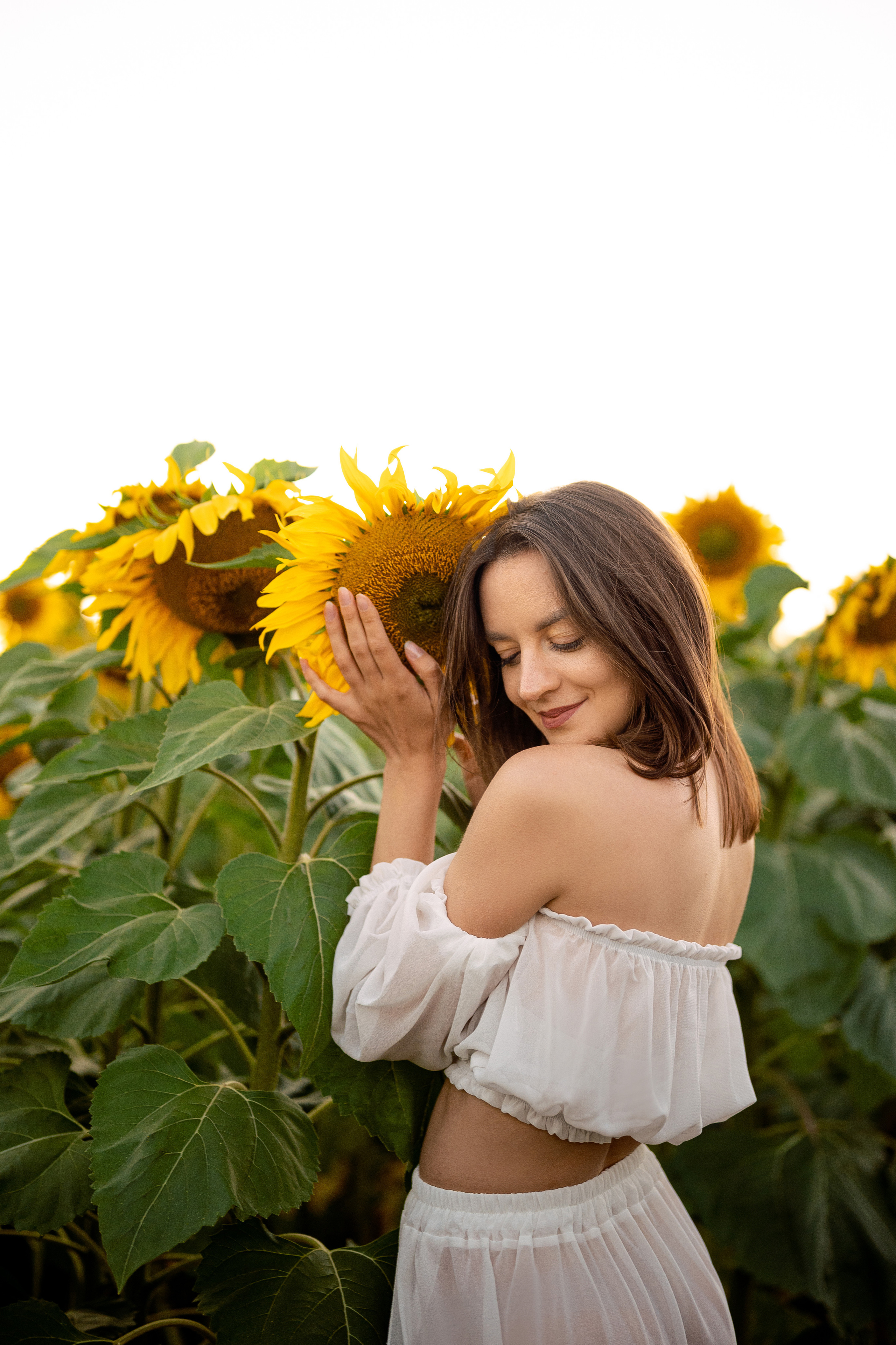 Подсолнуховый вечер