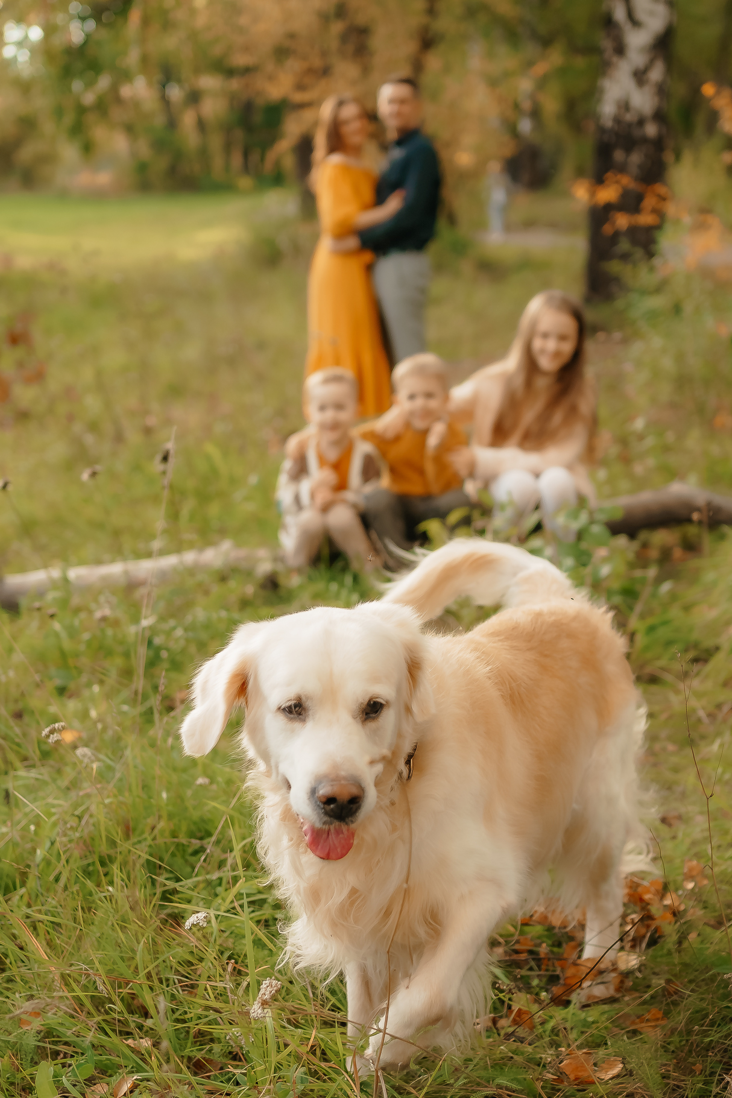 Отзывы. Фотограф новорожденных, беременности и семейных фотосессий в Томске
