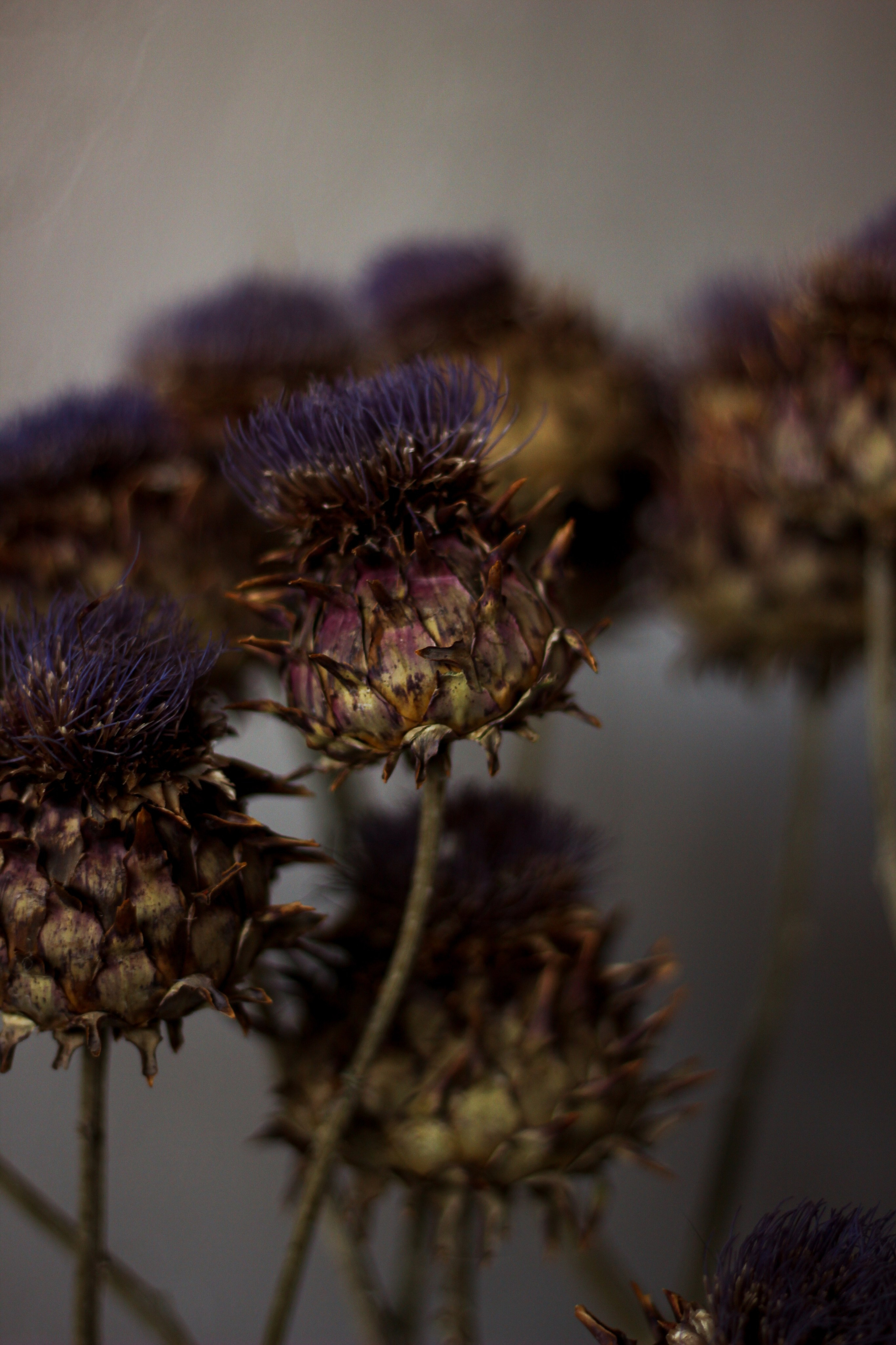 Блог. Фотограф Красноярск