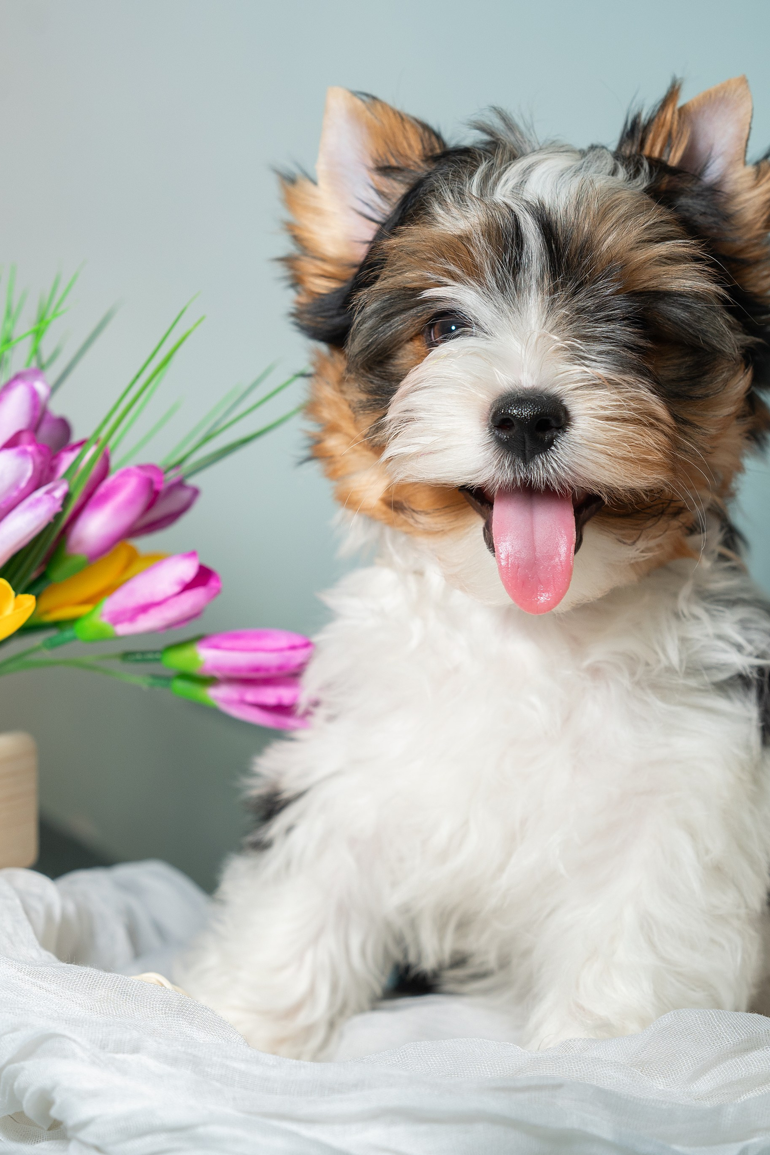 Отзывы. Творческий фотограф Вологда