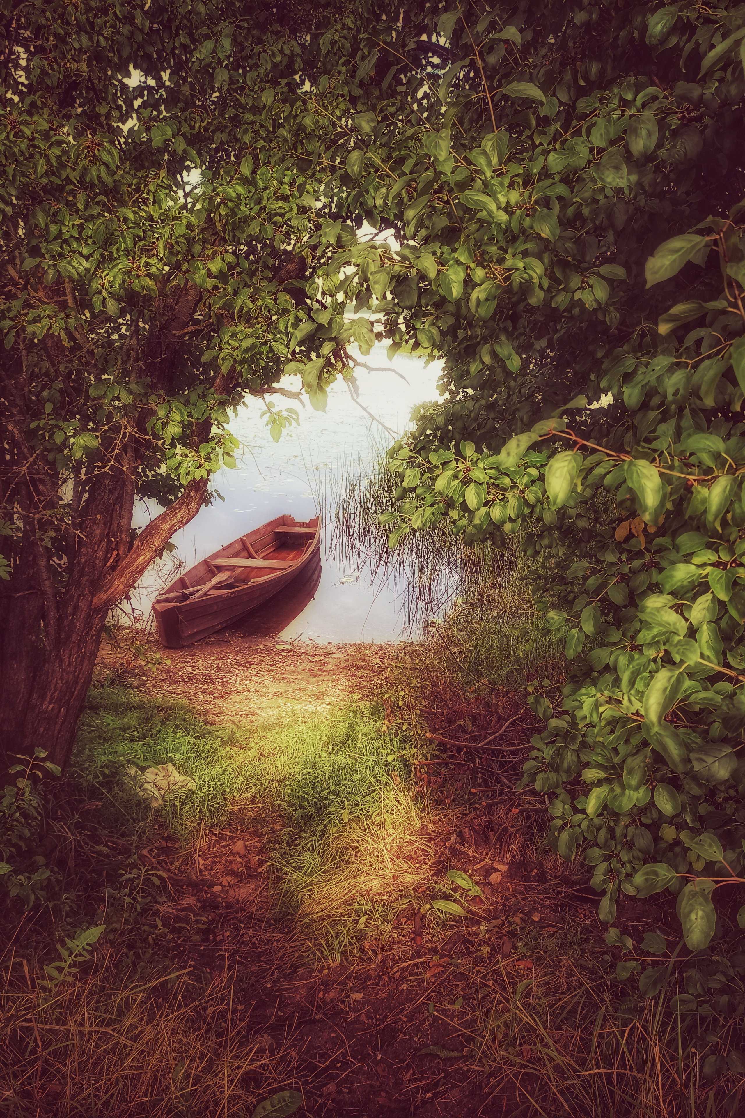Истории. Мамлеева Виктория — Портретный фотограф в Москве. Все виды фото, от индивидуальных до репортажей, от беременности до семейных фотографий