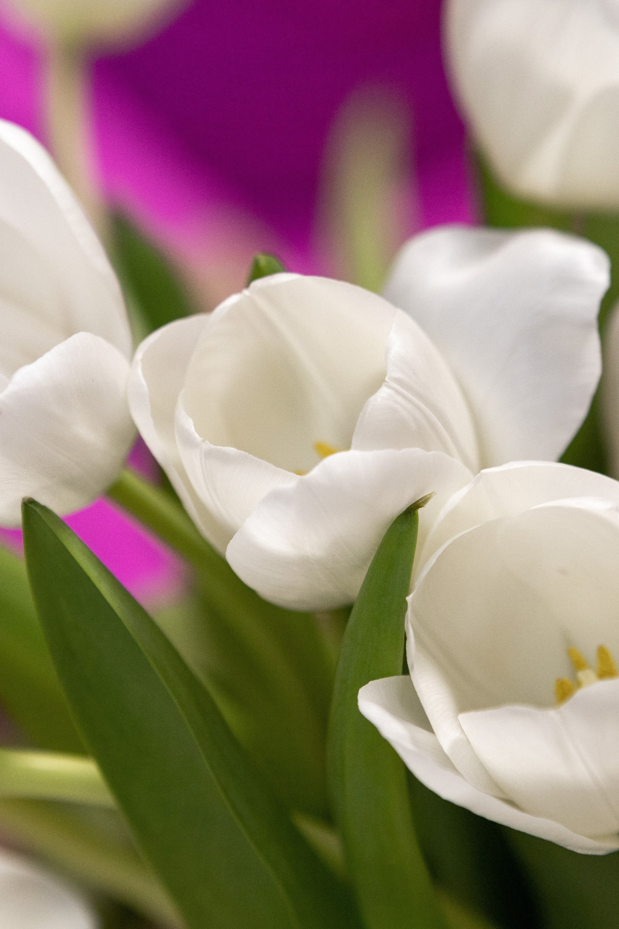 Отзывы. Фотограф Яна Матвеева в Ижевске