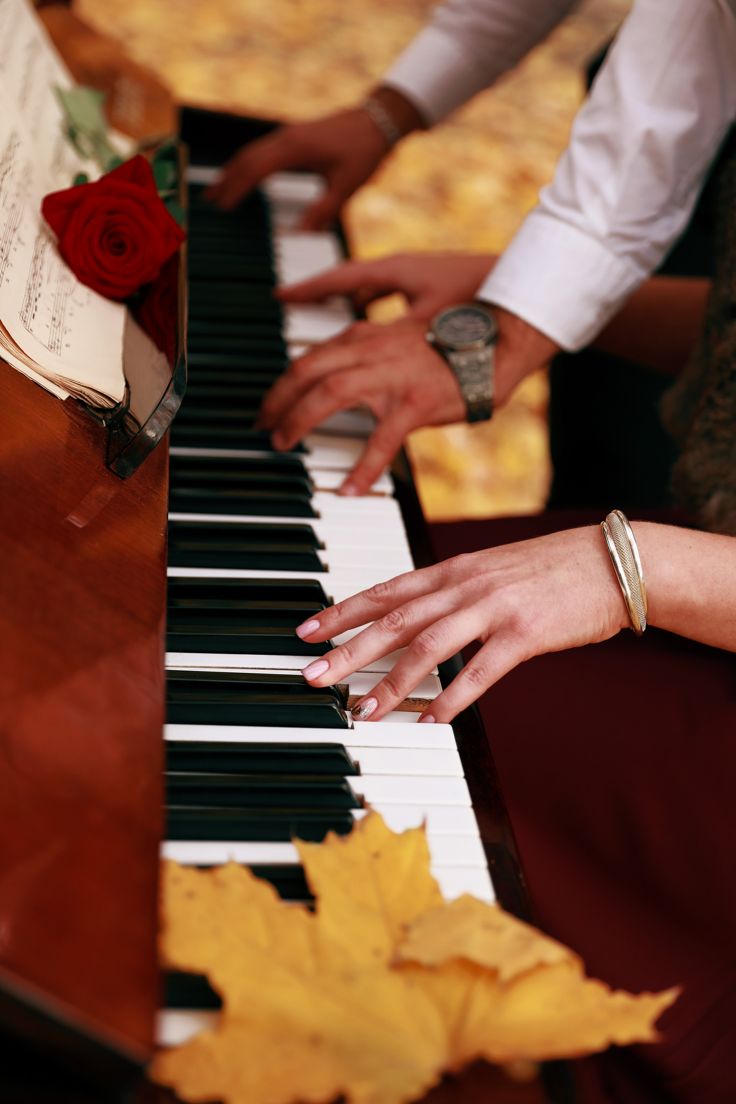 парк фортепиано