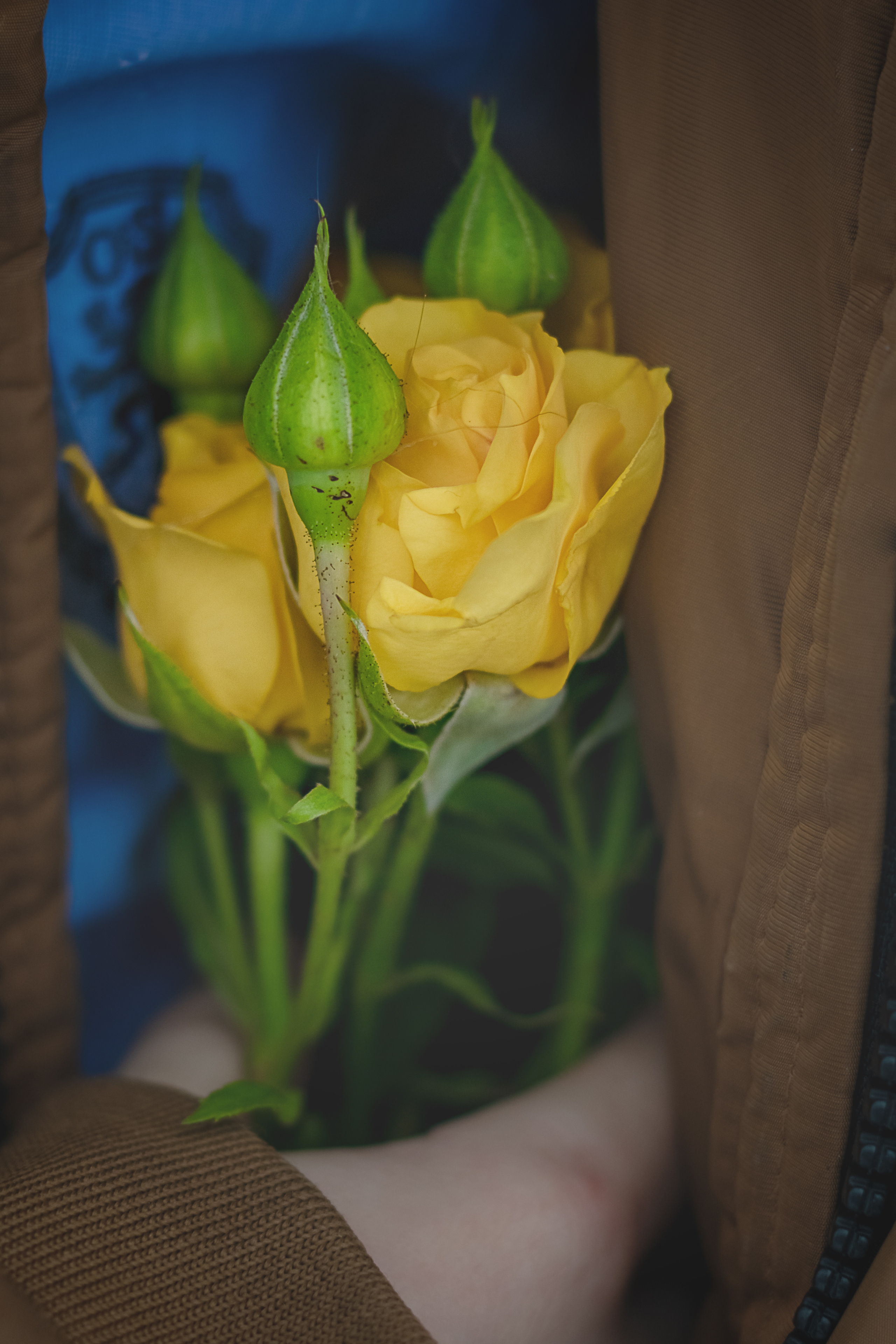 Цветы для мамы