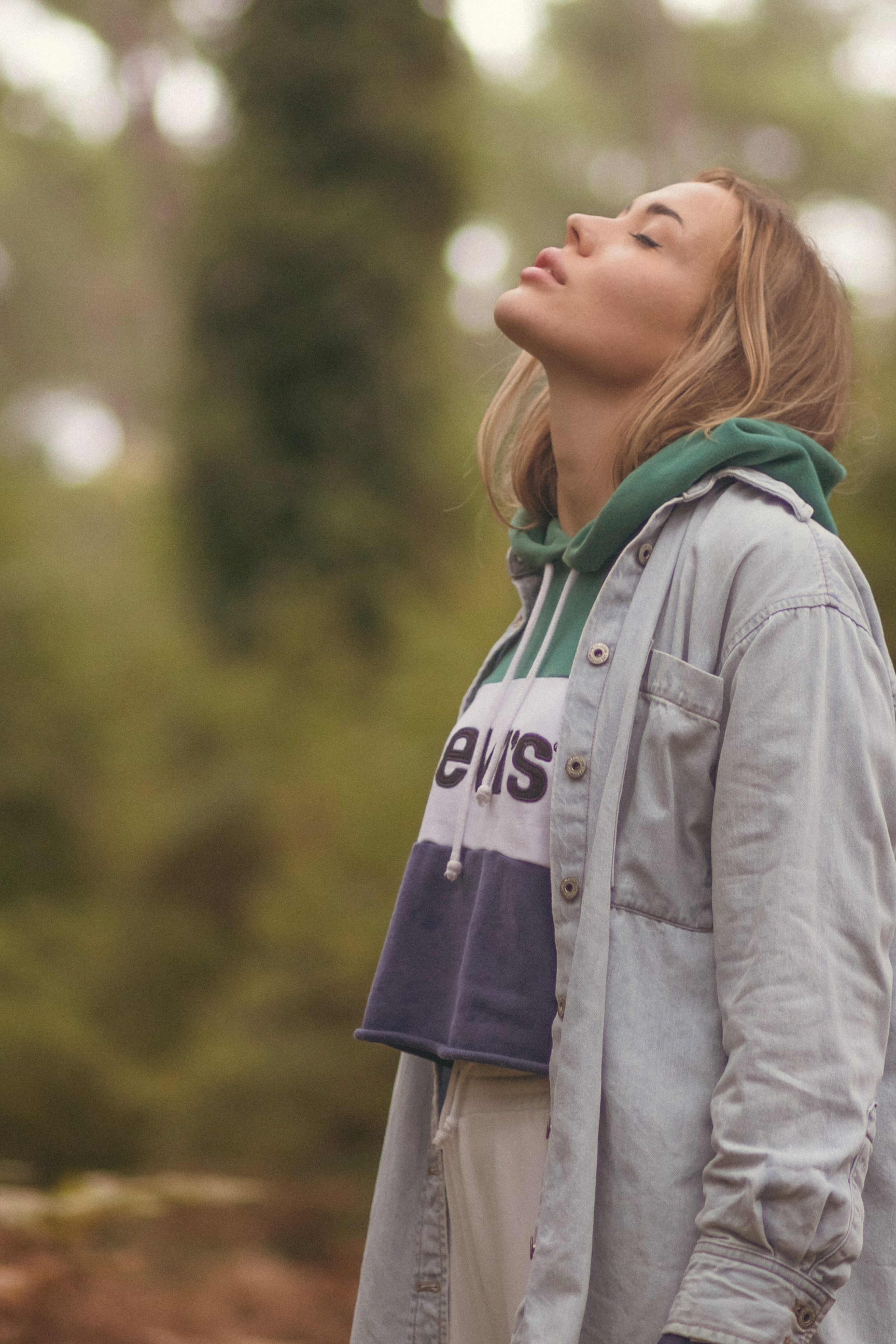 Волшебный лес