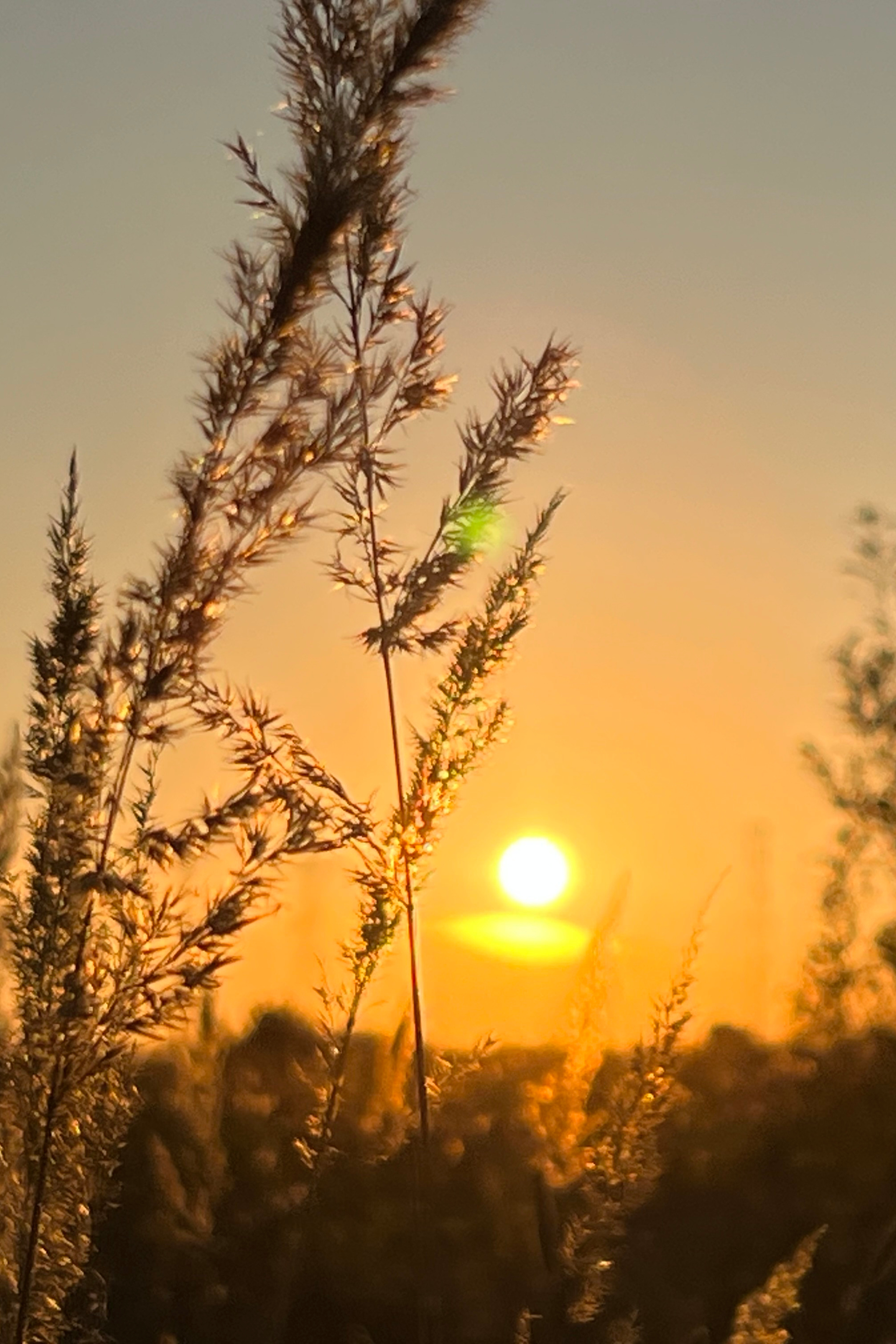 Отзывы о фотографе Елена Павленко. Елена Павленко. Фотограф. Москва