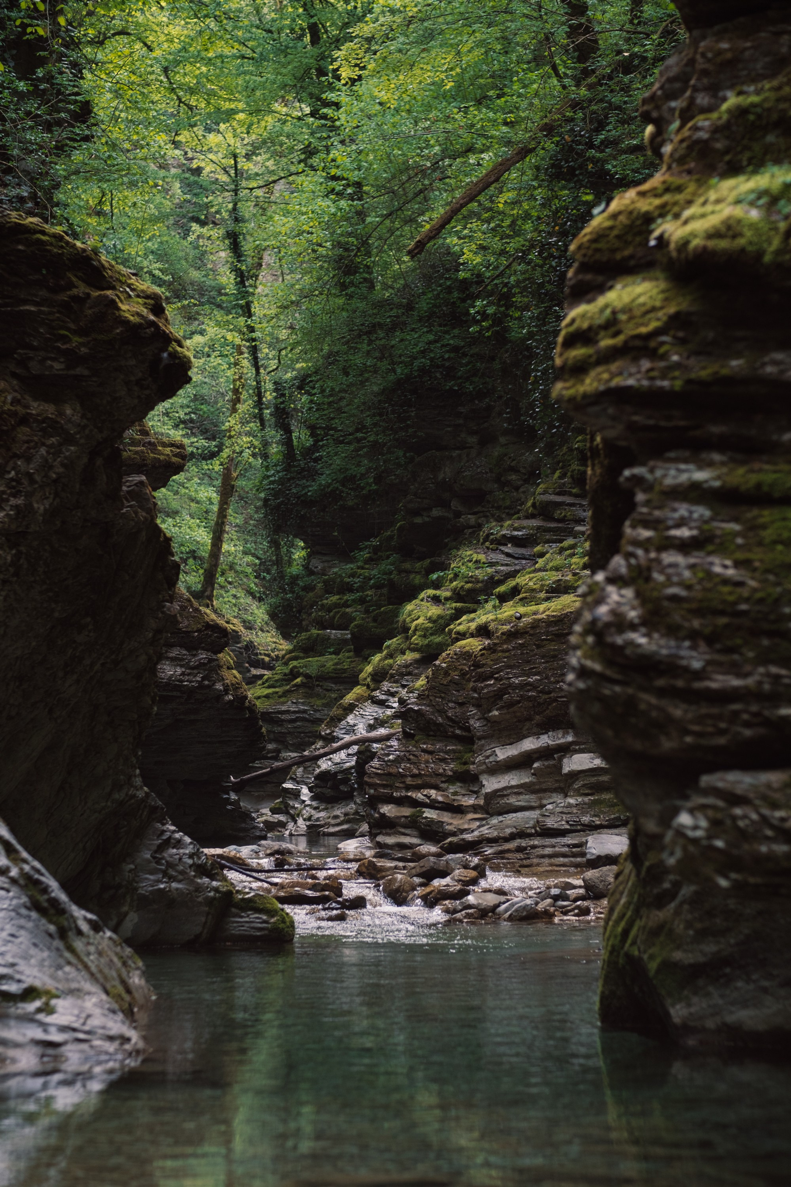 Блог. Персональный фотограф Москва Кислякова Алина. Фотограф в Дубае, ОАЭ