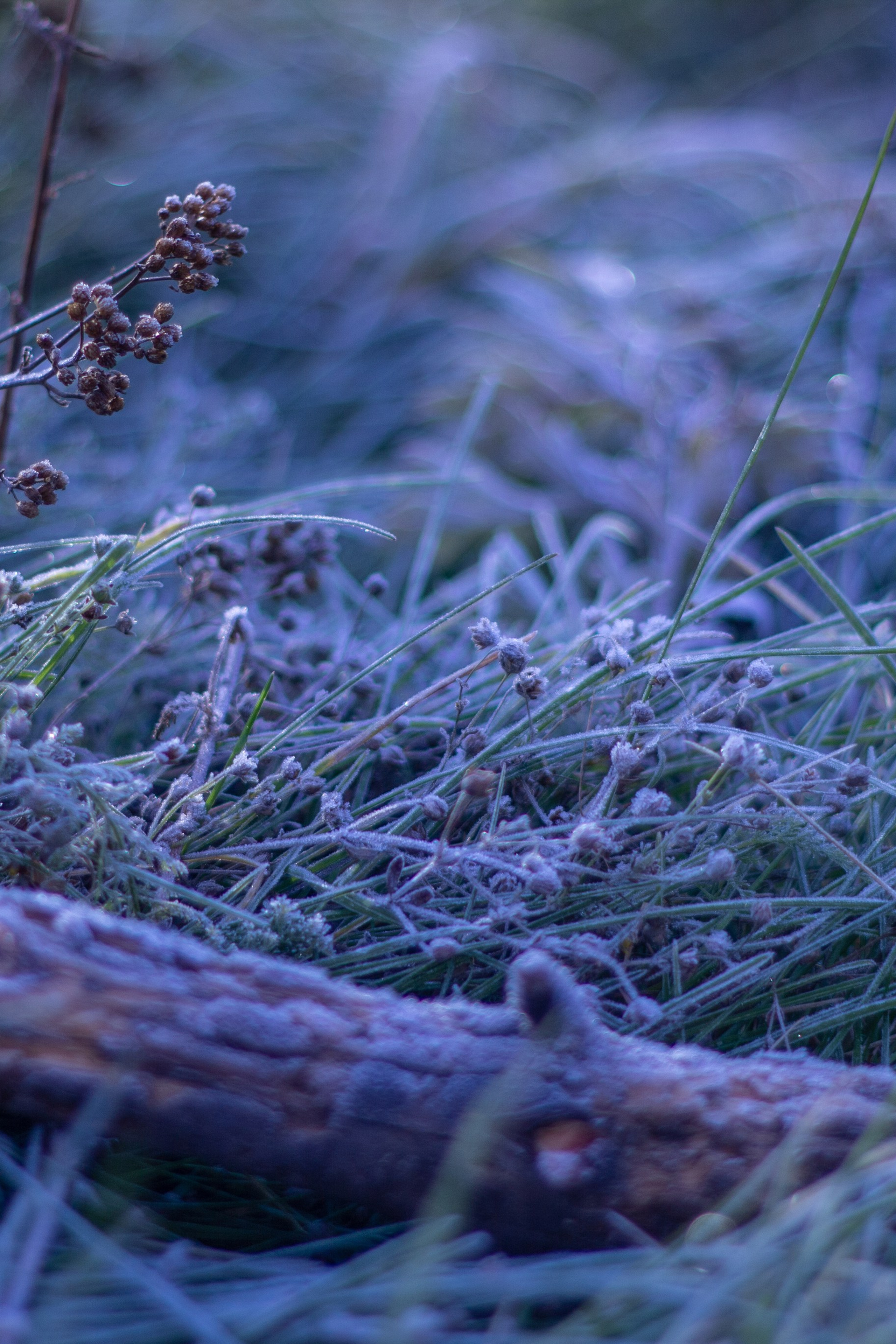 Пища для глаз