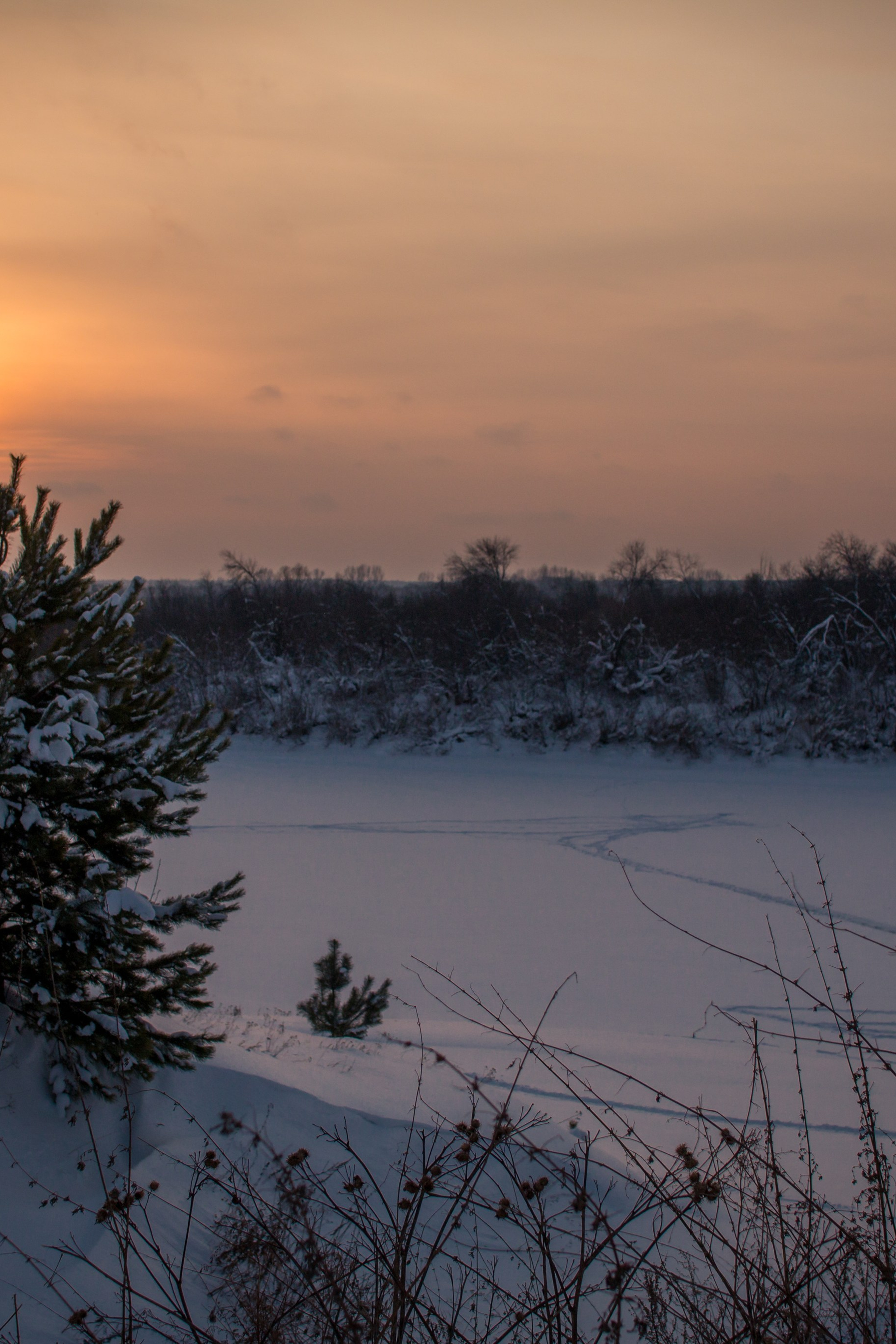 Дети — цветы жизни!