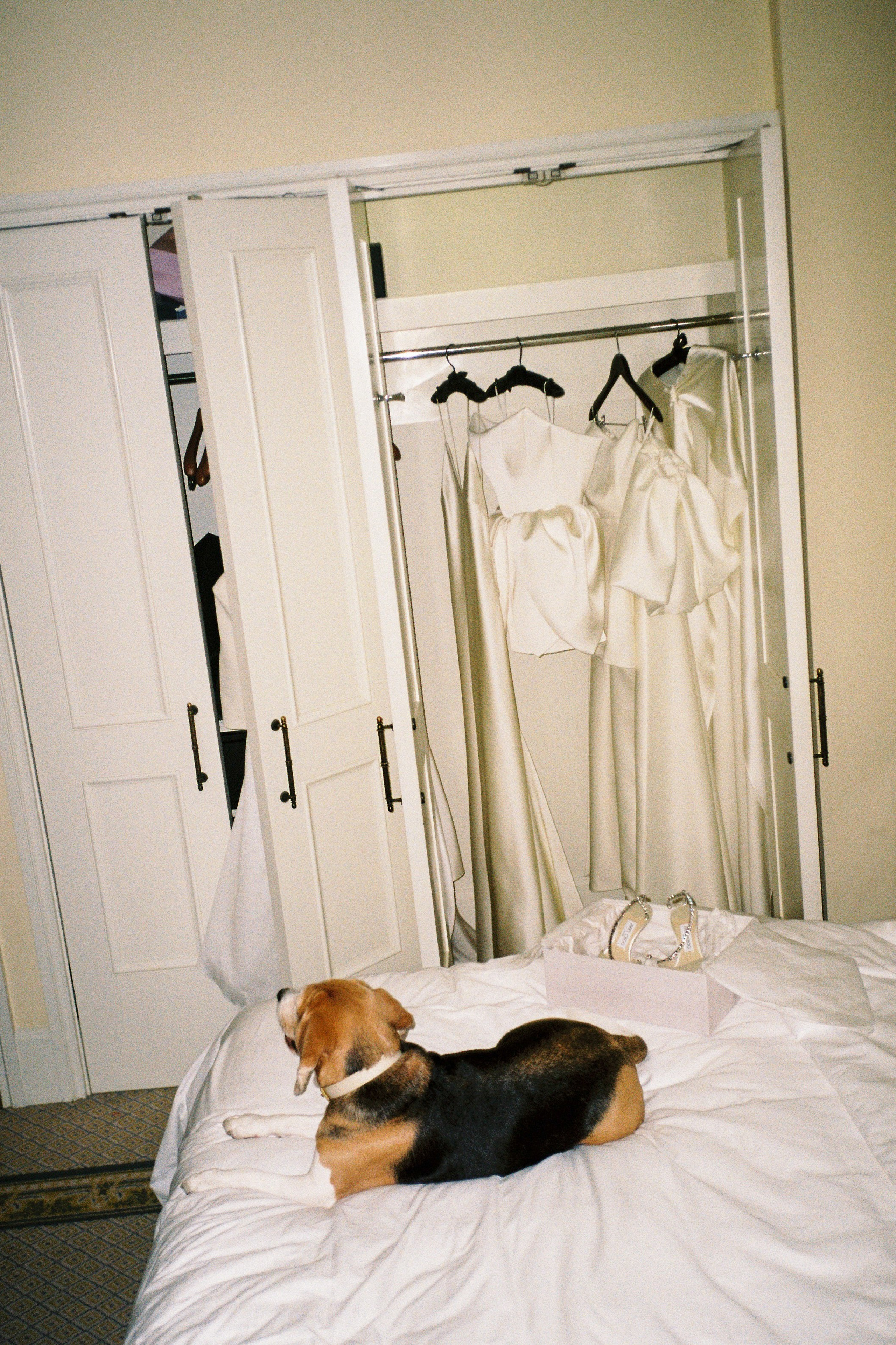 FILM. RONYNIKA PHOTOGRAPHER