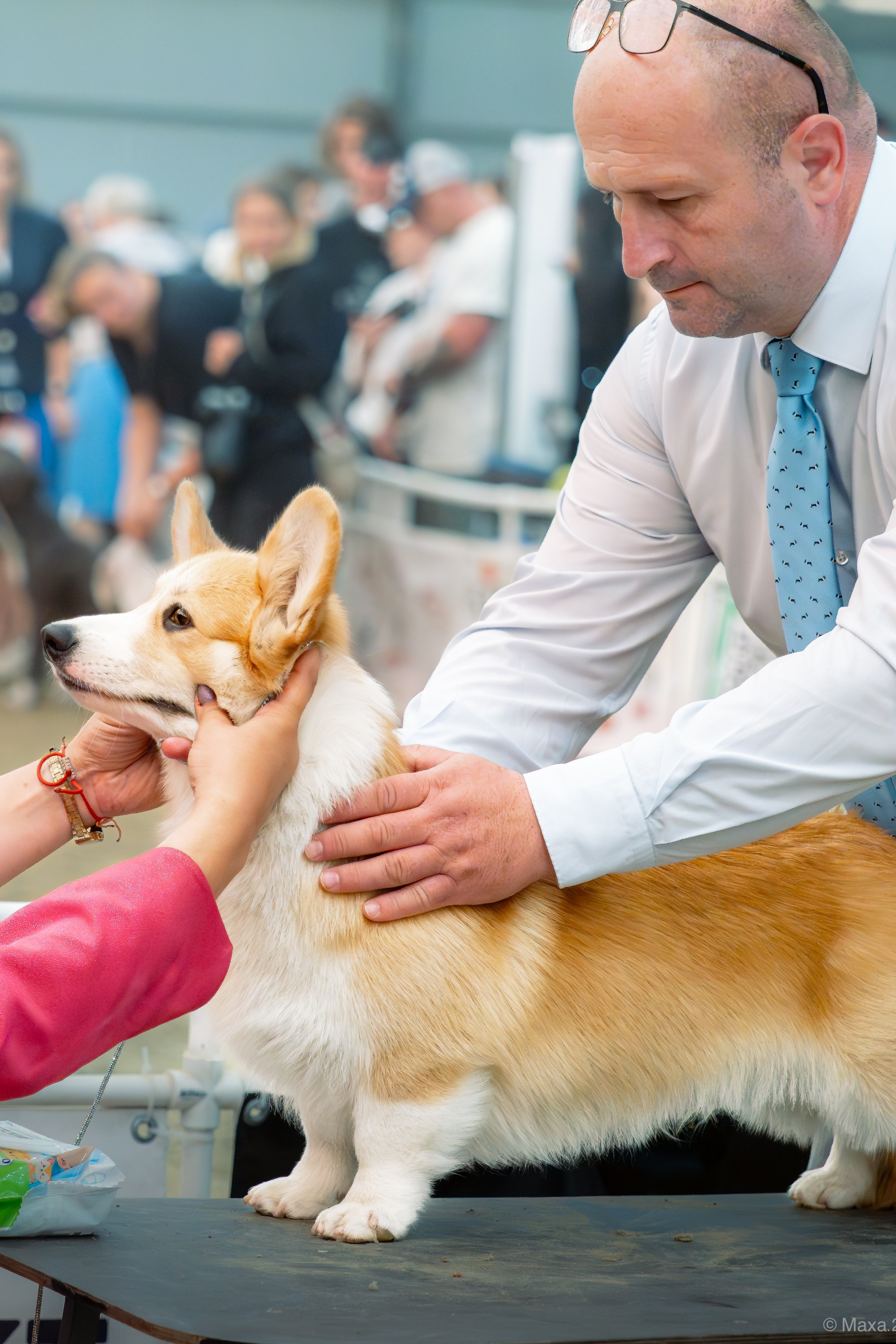 Репортажная съемка выставок